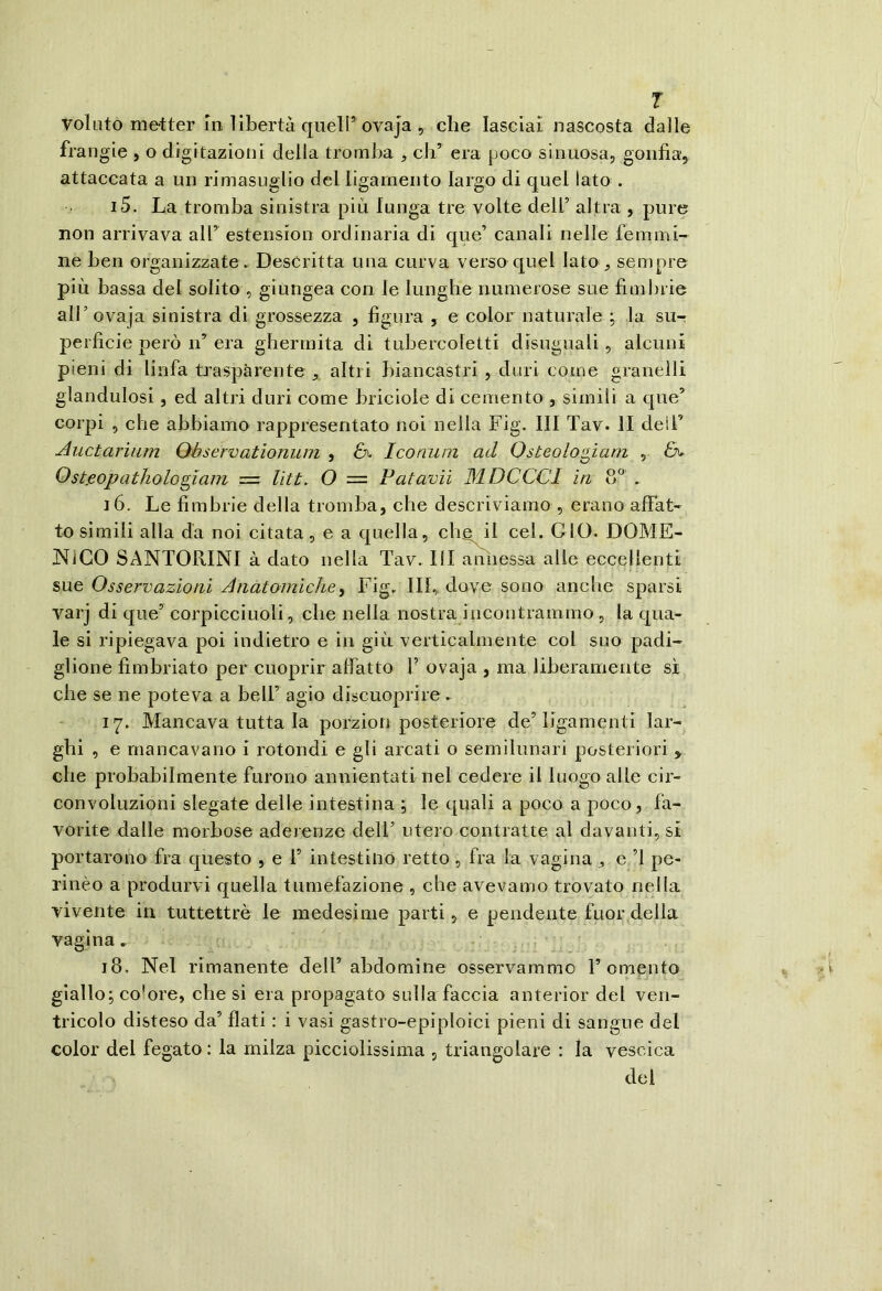 T voluto metter in libertà quell’ovaja , che lasciai nascosta dalle frangio , o digitazioni della tromba , eh’ era poco sinuosa, gonfia', attaccata a un rimasuglio del ligarnento largo di quel lato . i5. La tromba sinistra più lunga tre volte dell’altra , pure non arrivava all’ estension ordinaria di que’ canali nelle femmi- ne ben organizzate^. Descritta una curva verso quel lato , sempre più bassa del solito , giungea con le lunghe numerose sue fimbrie all’ovaja sinistra di grossezza , figura , e color naturale ; la su- perficie però n’ era ghermita di tubercoletti disuguali, alcuni pieni di linfa trasparente ^ altri biancastri , duri come granelli glandulosi, ed altri duri come briciole di cemento , simili a que’ corpi , che abbiamo rappresentato noi nella Fig. Ili Tav. II dell’ Auctarìiirn Observationum , &. Iconum ad Osteolo^ìam , Ost.eopathologìam = lìti. O = Fatavìi BIDCCCI in 8° . 16. Le fimbrie della tromba, che descriviamo , erano afiat- to simili alla dà noi citata, e a quella, che il cel. GIO. DOME- KiCO SANTORINI à dato nella Tav. HI annessa alle eccellenti sue Osservazioni Anatomiche^ fig' III, dove sono anclie sparsi varj di que’ corpicciuoli, che nella nostra incontrammo , la qua- le si ripiegava poi indietro e in giù verticalmente col suo padi- glione fimbriato per cuoprir affatto F ovaja , ma liberamente sì che se ne poteva a bell’ agio djscuoprire » 17. Mancava tutta la porzion posteriore de’ ligamenti lar- ghi , e mancavano i rotondi e gli arcati o semilunari posteriori > che probabilmente furono annientati nel cedere il luogo alle cir- convoluzioni slegate delle intestina ; le quali a poco a poco, fa- vorite dalle morbose aderenze dell’ utero contratte al davanti, si portarono fra questo , e F intestino retto, fra la vagina , e ’l pe- rinèo a produrvi quella tumefazione , che avevamo trovato nella vivente in tuttettrè le medesime parti, e pendente fuor della vagina. 18. Nel rimanente dell’ abdomine osservammo l’omento giallo; colore, diesi era propagato sulla faccia anterior del ven- tricolo disteso da’ flati : i vasi gastro-epiploici pieni di sangue del color del fegato ; la milza picciolissima , triangolare : la vescica del