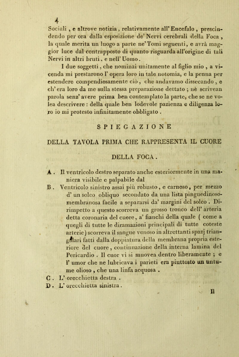 Sociali , e altrove notizia, relativamente all’ Encefalo , prescin- dendo per ora dalla esposizione de5 Nervi cerebrali della Foca , la quale merita un luogo a parte ne’Tomi seguenti, e avrà mag- gior luce dal contrapposto di quanto risguarda alTorigine di tali Nervi in altri bruti, e nell’ Uomo . I due soggetti, che nominai unitamente al figlio mio , a vi- cenda mi prestarono l1 opera loro in tale notomia, e la penna per estendere compendiosamente ciò , che andavamo dissecando , e eh’ era loro da me sulla stessa preparazione dettato ; nè scrivean parola senz5 avere prima ben contemplato la parte, che se ne vo- lea descrivere : della quale ben lodevole pazienza e diligenza lo- ro io mi protesto infinitamente obbligato . SPIEGAZIONE DELLA TAVOLA PRIMA CHE RAPPRESENTA IL CUORE DELLA FOCA . A . Il ventricolo destro separato anche esteriormente in una ma- niera visibile e palpabile dal B . Ventricolo sinistro assai più robusto, e carnoso, per mezzo d’ un solco obliquo secondato da una lista pinguedinoso- membranosa facile a separarsi da’ margini del solco . Di- rimpetto a questo scorreva un grosso tronco dell’ arteria detta coronaria del cuore, a’ fianchi della quale ( come a quegli di tutte le diramazioni principali di tutte coteste arterie) scorreva il sangue venoso in altrettanti spazj trian- golari fatti dalla doppiatura della membrana propria este- riore del cuore, continuazione della interna lamina del Pericardio . Il cuor vi si muovea dentro liberamente ; e 1’ umor che ne lubricava i parieti era piuttosto un untu- me olioso , che una linfa acquosa . C . L’ orecchietta destra . D. L’ orecchietta sinistra. Il