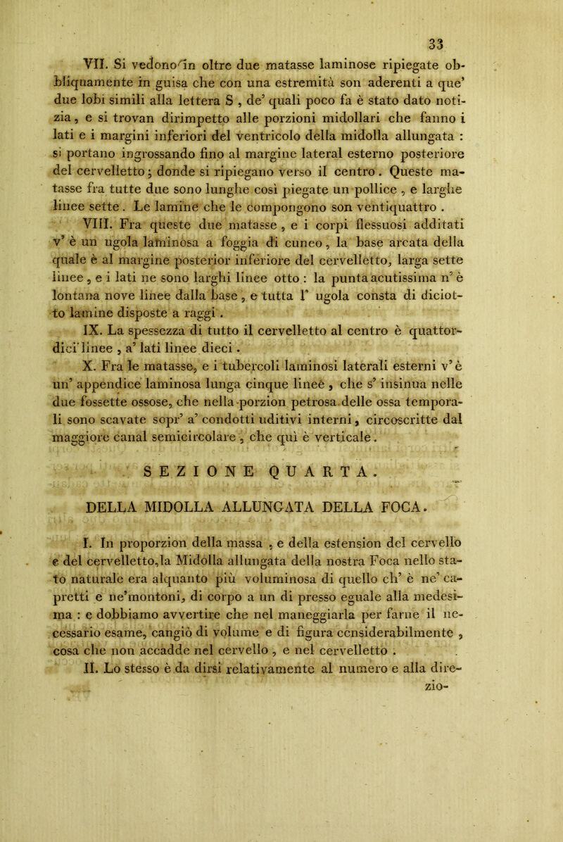 VII. Si vedono-fin oltre due matasse laminose ripiegate ob- bliquamente in guisa che con una estremità son aderenti a que* due lobi simili alla lettera S , de5 quali poco fa è stato dato noti- zia , e si trovan dirimpetto alle porzioni midollari che fanno i lati e i margini inferiori del ventricolo della midolla allungata : si portano ingrossando fino al margine lateral esterno posteriore del cervelietto ; donde si ripiegano verso il centro . Queste ma- tasse fra tutte due sono lunghe così piegate un pollice , e larghe linee sette. Le lamine che le compongono son ventiquattro . Vili. Fra queste due matasse , e i corpi flessuosi additati v’ è un ugola laminosa a foggia di cuneo, la base arcata della quale è al margine posterior inferiore del cervelletto, larga sette linee , e i lati ne sono larghi linee otto : la punta acutissima n5 è lontana nove linee dalla base , e tutta F ugola consta di diciot- to lamine disposte a raggi . IX. La spessezza di tutto il cervelletto al centro è quattor- dici’linee , a’ lati linee dieci. X. Fra le matasse, e i tubercoli laminosi laterali esterni v’è un’ appendice laminosa lunga cinque linee , che s’insinua nelle due fossette ossose, che nella porzion petrosa, delle ossa tempora- li sono scavate sopr’ a’ condotti uditivi interni, circoscritte dal maggiore canal semicircolare , che qui è verticale. SEZIONE QUARTA. DELLA MIDOLLA ALLUNGATA DELLA FOGA. I. In proporzion della massa , e della estension del cervello e del cervelletto,la Midolla allungata della nostra Foca nello sta- to naturale era alquanto più voluminosa di quello eh’ è ne’ ca- pretti e ne’montoni, di corpo a un di presso eguale alla medesi- ma : e dobbiamo avvertire che nel maneggiarla per farne il ne- cessario esame, cangiò di volume e di figura ccnsiderabilmente , cosa che non accadde nel cervello , e nel cervelletto . II. Lo stesso è da dirsi relativamente al numero e alla dire- zio-