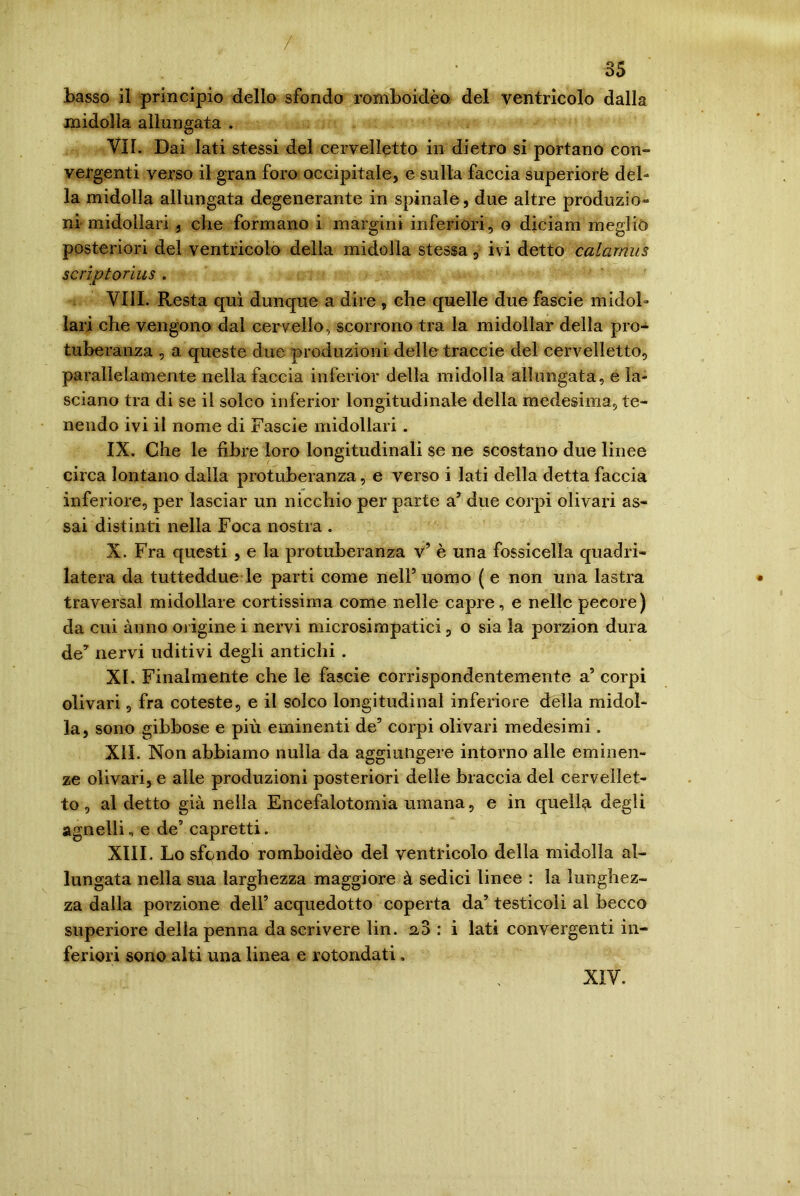 / 35 basso il principio dello sfondo romboidèo del ventricolo dalla midolla allungata . VII. Dai lati stessi del cervelletto in dietro si portano con» vergenti verso il gran foro occipitale, e sulla faccia superiorè del- la midolla allungata degenerante in spinale, due altre produzio- ni midollari , che formano i margini inferiori, o diciam meglio posteriori del ventricolo della midolla stessa, ivi detto calarnus script ori us . Vili. Resta qui dunque a dire , che quelle due fascie midol- lari che vengono dal cervello., scorrono tra la midollar della pro- tuberanza , a queste due produzioni delle traccie del cervelletto, parallelamente nella faccia inferior della midolla allungata, e la- sciano tra di se il solco inferior longitudinale della medesima, te- nendo ivi il nome di Fascie midollari . IX. Che le fibre loro longitudinali se ne scostano due linee circa lontano dalla protuberanza, e verso i Iati della detta faccia inferiore, per lasciar un nicchio per parte a’ due corpi olivari as- sai distinti nella Foca nostra . X. Fra questi , e la protuberanza v’ è una fossicella quadri- latera da tutteddue le parti come nell5 uomo ( e non una lastra • traversai midollare cortissima come nelle capre, e nelle pecore) da cui anno origine i nervi microsimpatici, o sia la porzion dura de7 nervi uditivi degli antichi . XI. Finalmente che le fascie corrispondentemente a’ corpi olivari, fra coteste, e il solco longitudinal inferiore della midol- la, sono gibbose e più eminenti de5 corpi olivari medesimi. XII. Non abbiamo nulla da aggiungere intorno alle eminen- ze olivari, e alle produzioni posteriori delle braccia del cervellet- to , al detto già nella Encefalotomia umana, e in quella degli agnelli., e de’ capretti. XIII. Lo sfondo romboidèo del ventricolo della midolla al- lungata nella sua larghezza maggiore à sedici linee : la lunghez- za dalla porzione dell’ acquedotto coperta da’ testicoli al becco superiore della penna da scrivere lin. 2,3 : i lati convergenti in- feriori sono alti una linea e rotondati. XIV.