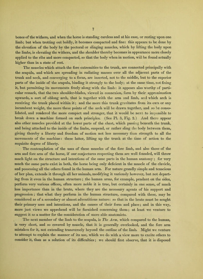 bones of the withers, and when the horse is standing careless and at his ease, or resting upon one limb; but when trotting out boldly, it becomes compacted and fine: this appears to be done by the elevation of the body by the pectoral or slinging muscles, which by lifting the body upon the limbs, is elevating the withers, and the shoulder thereby becomes in appearance more closely applied to the ribs and more compacted, so that the body when in motion, will be found actually higher than in a state of rest. The muscles which attach the fore extremities to the trunk, are connected principally with the scapula, and which are spreading in radiating masses over all the adjacent parts of the trunk and neck, and converging to a focus, are inserted, not to the middle, but to the superior parts of the inside of the scapula, binding it strongly to the body; at the same time, not fixing it, but permitting its movements freely along with the limb: it appears also worthy of parti- cular remark, that the two shoulder-blades, viewed in connexion, form by their approximation upwards, a sort of oblong arch, that is together with the arm and limb, and which arch is receiving the trunk placed within it; and the more this trunk gravitates from its own or any incumbent weight, the more these points of the arch will be drawn together, and so be conso- lidated, and rendered the more compact and stronger, that it would be next to impossible to break down a machine formed on such principles. (See PI. 3, Fig. 2.) And there appear also other muscles provided at the lower parts of the chest, which passing beneath the trunk, and being attached to the inside of the limbs, suspend, or rather sling the body between them, giving thereby a liberty and freedom of motion not less necessary than strength to all the movements of the machine: these latter, lifting up the trunk at the time of action to the requisite degree of liberty. The contemplation of the uses of these muscles of the fore limb, and also those of the arm and fore arm of the horse, if our conjectures respecting them are well founded, will throw much light on the structure and intentions of the same parts in the human anatomy; for very much the same parts exist in both, the horse being only deficient in the muscle of the clavicle, and possessing all the others found in the human arm. For nature grandly simple and tenacious of her plan, extends it through all her animals, modifying it variously however, but not depart- ing from it even in the human structure ; the human arms, for example, pendant on the sides, perform very various offices, often more noble it is true, but certainly in one sense, of much less importance than in the brute, where they are the necessary agents of his support and progression; that what they perform in the human structure, compared with these, may be considered as of a secondary or almost adventitious nature: so that in the brute must be sought their primary uses and intentions, and the causes of their form and place; and in this way, more just views we apprehend will be furnished concerning them; at least we venture to suggest it as a matter for the consideration of more able anatomists. The next member of the limb to the scapula, is The Arm, which compared to the human, is very short, and so covered by muscle, that it is generally overlooked, and the fore arm mistaken for it, not extending transversely beyond the outline of the limb. Might we venture to attempt to explain the manner of its use, which we do with a view more to excite others to consider it, than as a solution of its difficulties; we should first observe, that it is disposed