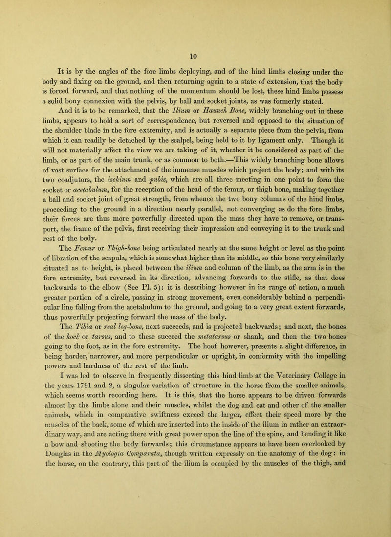 It is by the angles of the fore limbs deploying, and of the hind limbs closing under the body and fixing on the ground, and then returning again to a state of extension, that the body is forced forward, and that nothing of the momentum should be lost, these hind limbs possess a solid bony connexion with the pelvis, by ball and socket joints, as was formerly stated. And it is to be remarked, that the Ilium or Haunch Bone, widely branching out in these limbs, appears to hold a sort of correspondence, but reversed and opposed to the situation of the shoulder blade in the fore extremity, and is actually a separate piece from the pelvis, from which it can readily be detached by the scalpel, being held to it by ligament only. Though it will not materially affect the view we are taking of it, whether it be considered as part of the limb, or as part of the main trunk, or as common to both.—This widely branching bone allows of vast surface for the attachment of the immense muscles which project the body; and with its two coadjutors, the ischium and pubis, which are all three meeting in one point to form the socket or acetabulum, for the reception of the head of the femur, or thigh bone, making together a ball and socket joint of great strength, from whence the two bony columns of the hind limbs, proceeding to the ground in a direction nearly parallel, not converging as do the fore limbs, their forces are thus more powerfully directed upon the mass they have to remove, or trans- port, the frame of the pelvis, first receiving their impression and conveying it to the trunk and rest of the body. The Femur or Thigh-bone being articulated nearly at the same height or level as the point of libration of the scapula, which is somewhat higher than its middle, so this bone very similarly situated as to height, is placed between the ilium and column of the limb, as the arm is in the fore extremity, but reversed in its direction, advancing forwards to the stifle, as that does backwards to the elbow (See PI. 5): it is describing however in its range of action, a much greater portion of a circle, passing in strong movement, even considerably behind a perpendi- cular line falling from the acetabulum to the ground, and going to a very great extent forwards, thus powerfully projecting forward the mass of the body. The Tibia or real leg-bone, next succeeds, and is projected backwards; and next, the bones of the hoch or tarsus, and to these succeed the metatarsus or shank, and then the two bones going to the foot, as in the fore extremity. The hoof however, presents a slight difference, in being harder, narrower, and more perpendicular or upright, in conformity with the impelling powers and hardness of the rest of the limb. I was led to observe in frequently dissecting this hind limb at the Veterinary College in the years 1791 and 2, a singular variation of structure in the horse from the smaller animals, which seems worth recording here. It is this, that the horse appears to be driven forwards almost by the limbs alone and their muscles, whilst the dog and cat and other of the smaller animals, which in comparative swiftness exceed the larger, effect their speed more by the muscles of the back, some of which are inserted into the inside of the ilium in rather an extraor- dinary way, and are acting there with great power upon the line of the spine, and bending it like a bow and shooting the body forwards; this circumstance appears to have been overlooked by Douglas in the Myologia Comparata, though written expressly on the anatomy of the dog: in the horse, on the contrary, this part of the ilium is occupied by the muscles of the thigh, and