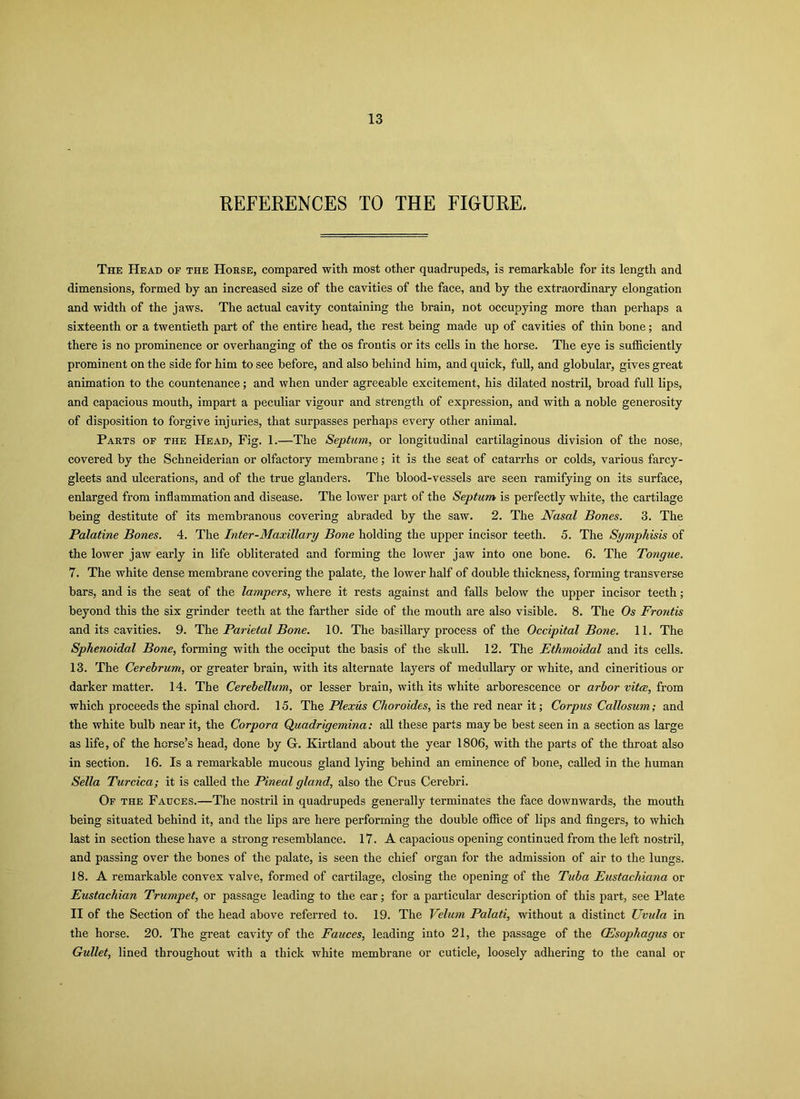 REFERENCES TO THE FIGURE. The Head op the Horse, compared with most other quadrupeds, is remarkable for its length and dimensions, formed by an increased size of the cavities of the face, and by the extraordinary elongation and width of the jaws. The actual cavity containing the brain, not occupying more than perhaps a sixteenth or a twentieth part of the entire head, the rest being made up of cavities of thin bone; and there is no prominence or overhanging of the os frontis or its cells in the horse. The eye is sufficiently prominent on the side for him to see before, and also behind him, and quick, full, and globular, gives great animation to the countenance; and when under agreeable excitement, his dilated nostril, broad full lips, and capacious mouth, impart a peculiar vigour and strength of expression, and with a noble generosity of disposition to forgive injuries, that surpasses perhaps every other animal. Parts of the Head, Fig. 1.—The Septum, or longitudinal cartilaginous division of the nose, covered by the Schneiderian or olfactory membrane; it is the seat of catarrhs or colds, various farcy- gleets and ulcerations, and of the true glanders. The blood-vessels are seen ramifying on its surface, enlarged from inflammation and disease. The lower part of the Septum is perfectly white, the cartilage being destitute of its membranous covering abraded by the saw. 2. The Nasal Bones. 3. The Palatine Bones. 4. The Inter-Maxillary Bone holding the upper incisor teeth. 5. The Symphisis of the lower jaw early in life obliterated and forming the lower jaw into one bone. 6. The Tongue. 7. The white dense membrane covering the palate, the lower half of double thickness, forming transverse bars, and is the seat of the tampers, where it rests against and falls below the upper incisor teeth; beyond this the six grinder teeth at the farther side of the mouth are also visible. 8. The Os Frontis and its cavities. 9. The Parietal Bone. 10. The basillary process of the Occipital Bone. 11. The Sphenoidal Bone, forming with the occiput the basis of the skull. 12. The Ethmoidal and its cells. 13. The Cerebrum, or greater brain, with its alternate layers of medullary or white, and cineritious or darker matter. 14. The Cerebellum, or lesser brain, with its white arborescence or arbor vitce, from which proceeds the spinal chord. 15. The Plexus Choroides, is the red near it; Corpus Callosum; and the white bulb near it, the Corpora Quadrigemina: all these parts may be best seen in a section as large as life, of the horse’s head, done by G. Kirtland about the year 1806, with the parts of the throat also in section. 16. Is a remarkable mucous gland lying behind an eminence of bone, called in the human Sella Turcica; it is called the Pineal gland, also the Crus Cerebri. Of the Fauces.—The nostril in quadrupeds generally terminates the face downwards, the mouth being situated behind it, and the lips are here performing the double office of lips and fingers, to which last in section these have a strong resemblance. 17. A capacious opening continued from the left nostril, and passing over the bones of the palate, is seen the chief organ for the admission of air to the lungs. 18. A remarkable convex valve, formed of cartilage, closing the opening of the Tuba Eustachiana or Eustachian Trumpet, or passage leading to the ear; for a particular description of this part, see Plate II of the Section of the head above referred to. 19. The Velum Palati, without a distinct Uvula in the horse. 20. The great cavity of the Fauces, leading into 21, the passage of the (Esophagus or Gullet, lined throughout with a thick white membrane or cuticle, loosely adhering to the canal or