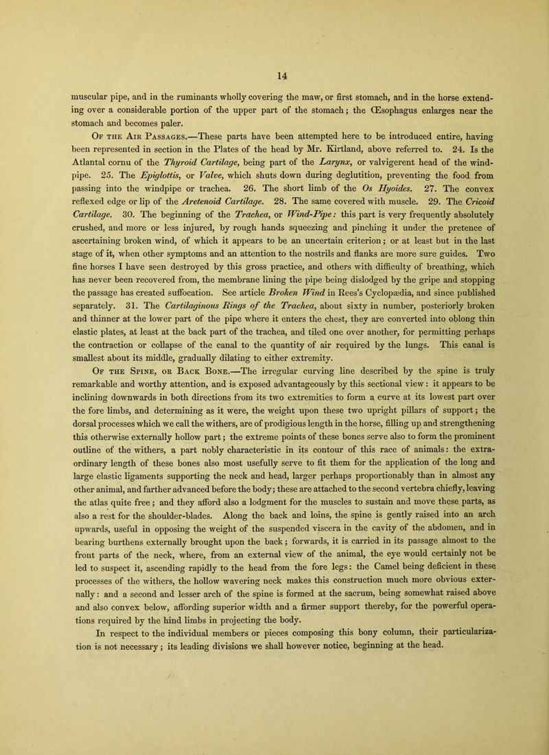 muscular pipe, and in the ruminants wholly covering the maw, or first stomach, and in the horse extend- ing over a considerable portion of the upper part of the stomach; the (Esophagus enlarges near the stomach and becomes paler. Of the Air Passages.—These parts have been attempted here to be introduced entire, having been represented in section in the Plates of the head by Mr. Kirtland, above referred to. 24. Is the Atlantal cornu of the Thyroid Cartilage, being part of the Larynx, or valvigerent head of the wind- pipe. 25. The Epiglottis, or Valve, which shuts down during deglutition, preventing the food from passing into the windpipe or trachea. 26. The short limb of the Os Hyoides. 27. The convex reflexed edge or lip of the Aretenoid Cartilage. 28. The same covered with muscle. 29. The Cricoid Cartilage. 30. The beginning of the Trachea, or Wind-Pipe: this part is very frequently absolutely crushed, and more or less injured, by rough hands squeezing and pinching it under the pretence of ascertaining broken wind, of which it appears to be an uncertain criterion; or at least but in the last stage of it, when other symptoms and an attention to the nostrils and flanks are more sure guides. Two fine horses I have seen destroyed by this gross practice, and others with difficulty of breathing, which has never been recovered from, the membrane lining the pipe being dislodged by the gripe and stopping the passage has created suffocation. See article Broken Wind in Rees’s Cyclopaedia, and since published separately. 31. The Cartilaginous Rings of the Trachea, about sixty in number, posteriorly broken and thinner at the lower part of the pipe where it enters the chest, they are converted into oblong thin elastic plates, at least at the back part of the trachea, and tiled one over another, for permitting perhaps the contraction or collapse of the canal to the quantity of air required by the lungs. This canal is smallest about its middle, gradually dilating to either extremity. Of the Spine, or Back Bone.—The irregular curving line described by the spine is truly remarkable and worthy attention, and is exposed advantageously by this sectional view: it appears to be inclining downwards in both directions from its two extremities to form a curve at its lowest part over the fore limbs, and determining as it were, the weight upon these two upright pillars of support; the dorsal processes which we call the withers, are of prodigious length in the horse, filling up and strengthening this otherwise externally hollow part; the extreme points of these bones serve also to form the prominent outline of the withers, a part nobly characteristic in its contour of this race of animals: the extra- ordinary length of these bones also most usefully serve to fit them for the application of the long and large elastic ligaments supporting the neck and head, larger perhaps proportionably than in almost any other animal, and farther advanced before the body; these are attached to the second vertebra chiefly, leaving the atlas quite free; and they afford also a lodgment for the muscles to sustain and move these parts, as also a rest for the shoulder-blades. Along the back and loins, the spine is gently raised into an arch upwards, useful in opposing the weight of the suspended viscera in the cavity of the abdomen, and in bearing burthens externally brought upon the back; forwards, it is carried in its passage almost to the front parts of the neck, where, from an external view of the animal, the eye would certainly not be led to suspect it, ascending rapidly to the head from the fore legs: the Camel being deficient in these processes of the withers, the hollow wavering neck makes this construction much more obvious exter- nally : and a second and lesser arch of the spine is formed at the sacrum, being somewhat raised above and also convex below, affording superior width and a firmer support thereby, for the powerful opera- tions required by the hind limbs in projecting the body. In respect to the individual members or pieces composing this bony column, their particulariza- tion is not necessary; its leading divisions we shall however notice, beginning at the head.