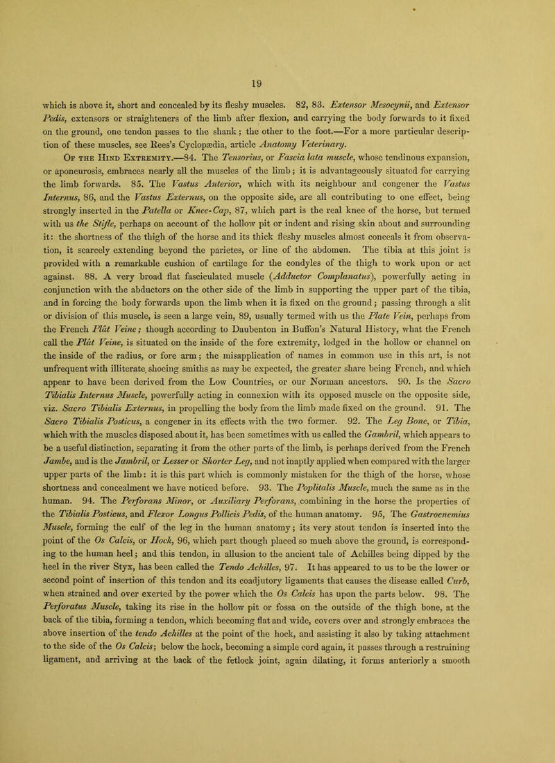 which is above it, short and concealed by its fleshy muscles. 82, 83. Extensor Mesocynii, and Extensor Pedis, extensors or straighteners of the limb after flexion, and carrying the body forwards to it fixed on the ground, one tendon passes to the shank; the other to the foot.—For a more particular descrip- tion of these muscles, see Rees’s Cyclopaedia, article Anatomy Veterinary. Of the Hind Extremity.—84. The Tensorius, or Fascia lata muscle, whose tendinous expansion, or aponeurosis, embraces nearly all the muscles of the limb; it is advantageously situated for carrying the limb forwards. 85. The Vastus Anterior, which with its neighbour and congener the Vastus Interims, 86, and the Vastus Externus, on the opposite side, are all contributing to one effect, being strongly inserted in the Patella or Knee-Cap, 87, which part is the real knee of the horse, but termed with us the Stifle, perhaps on account of the hollow pit or indent and rising skin about and surrounding it: the shortness of the thigh of the horse and its thick fleshy muscles almost conceals it from observa- tion, it scarcely extending beyond the parietes, or line of the abdomen. The tibia at this joint is provided with a remarkable cushion of cartilage for the condyles of the thigh to work upon or act against. 88. A very broad flat fasciculated muscle (Adductor Complanatus), powerfully acting in conjunction with the abductors on the other side of the limb in supporting the upper part of the tibia, and in forcing the body forwards upon the limb when it is fixed on the ground; passing through a slit or division of this muscle, is seen a large vein, 89, usually termed with us the Plate Vein, perhaps from the French Plat Veine; though according to Daubenton in Buffon’s Natural History, what the French call the Plat Veine, is situated on the inside of the fore extremity, lodged in the hollow or channel on the inside of the radius, or fore arm; the misapplication of names in common use in this art, is not unfrequent with illiterate, shoeing smiths as maybe expected, the greater share being French, and which appear to have been derived from the Low Countries, or our Norman ancestors. 90. Is the Sacro Tibialis Internus Muscle, powerfully acting in connexion with its opposed muscle on the opposite side, viz. Sacro Tibialis Externus, in propelling the body from the limb made fixed on the ground. 91. The Sacro Tibialis Posticus, a congener in its effects with the two former. 92. The Leg Bone, or Tibia, which with the muscles disposed about it, has been sometimes with us called the Gambril, which appears to be a useful distinction, separating it from the other parts of the limb, is perhaps derived from the French Jambe, and is the Jambril, or Lesser or Shorter Leg, and not inaptly applied when compared with the larger upper parts of the limb: it is this part which is commonly mistaken for the thigh of the horse, whose shortness and concealment we have noticed before. 93. The Poplitalis Muscle, much the same as in the human. 94. The Perforans Minor, or Auxiliary Perforans, combining in the horse the properties of the Tibialis Posticus, and Flexor Longus Pollicis Pedis, of the human anatomy. 95, The Gastrocnemius Muscle, forming the calf of the leg in the human anatomy; its very stout tendon is inserted into the point of the Os Calcis, or Hock, 96, which part though placed so much above the ground, is correspond- ing to the human heel; and this tendon, in allusion to the ancient tale of Achilles being dipped by the heel in the river Styx, has been called the Tendo Achilles, 97. It has appeared to us to be the lower or second point of insertion of this tendon and its coadjutory ligaments that causes the disease called Curb, when strained and over exerted by the power w'hich the Os Calcis has upon the parts below. 98. The Perforatus Muscle, taking its rise in the hollow pit or fossa on the outside of the thigh bone, at the back of the tibia, forming a tendon, which becoming flat and wide, covers over and strongly embraces the above insertion of the tendo Achilles at the point of the hock, and assisting it also by taking attachment to the side of the Os Calcis; below the hock, becoming a simple cord again, it passes through a restraining ligament, and arriving at the back of the fetlock joint, again dilating, it forms anteriorly a smooth