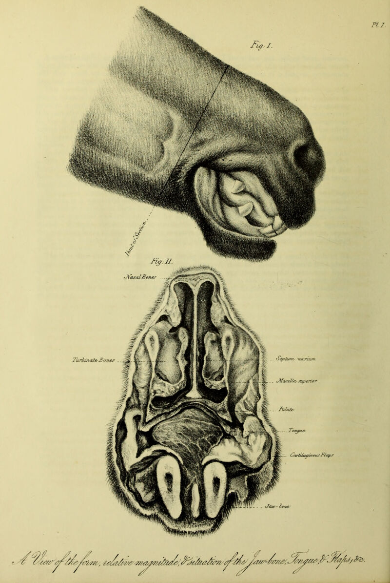 PH. ' :'n m, •• ■. M00