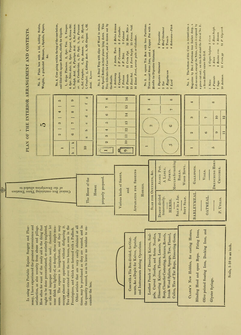 Scale, 1-10 to an inch.