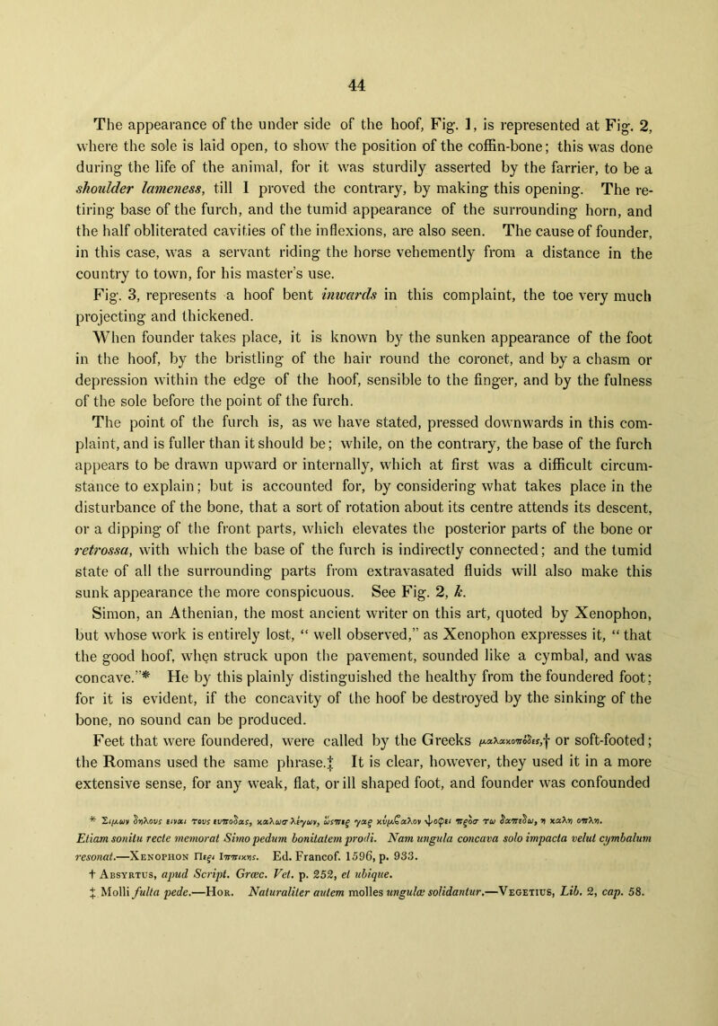 The appearance of the under side of the hoof, Fig. I, is represented at Fig. 2, where the sole is laid open, to show the position of the coffin-bone; this was done during the life of the animal, for it was sturdily asserted by the farrier, to be a shoulder lameness, till I proved the contrary, by making this opening. The re- tiring base of the furch, and the tumid appearance of the surrounding horn, and the half obliterated cavities of the inflexions, are also seen. The cause of founder, in this case, was a servant riding the horse vehemently from a distance in the country to town, for his master’s use. Fig. 3, represents a hoof bent inwards in this complaint, the toe very much projecting and thickened. When founder takes place, it is known by the sunken appearance of the foot in the hoof, by the bristling of the hair round the coronet, and by a chasm or depression within the edge of the hoof, sensible to the finger, and by the fulness of the sole before the point of the furch. The point of the furch is, as we have stated, pressed downwards in this com- plaint, and is fuller than it should be; while, on the contrary, the base of the furch appears to be drawn upward or internally, which at first was a difficult circum- stance to explain; but is accounted for, by considering what takes place in the disturbance of the bone, that a sort of rotation about its centre attends its descent, or a dipping of the front parts, which elevates the posterior parts of the bone or retrossa, with which the base of the furch is indirectly connected; and the tumid state of all the surrounding parts from extravasated fluids will also make this sunk appearance the more conspicuous. See Fig. 2, k. Simon, an Athenian, the most ancient writer on this art, quoted by Xenophon, but whose work is entirely lost, “ well observed,” as Xenophon expresses it, “ that the good hoof, when struck upon the pavement, sounded like a cymbal, and was concave.”* He by this plainly distinguished the healthy from the foundered foot; for it is evident, if the concavity of the hoof be destroyed by the sinking of the bone, no sound can be produced. Feet that were foundered, were called by the Greeks ^aXaxowoS£y,j or soft-footed; the Romans used the same phrase. J It is clear, however, they used it in a more extensive sense, for any weak, flat, or ill shaped foot, and founder was confounded * 'Zt/x.uv SijXodj eivou tods tviro^ar, y.a.'kua Xzyuv, usttif yag xd/ddSocXov vpo(pc/ tiqoir ru Sacirz^u, ri xaX-n omTen. Etiam sonilu rede memorat Simo pedum bonitatem prodi. Nam ungula concava solo impada velul cymbalum resonat.—Xenophon rit^ I mums. Ed. Francof. 1596, p. 933. t Absyrtus, apud Script. Groec. Vet. p. 252, el ubique. j Molli fulta pede.—Hor. Naiuraliter aidem molles ungula; solidaniur.—Vegetius, Lib. 2, cap. 58.