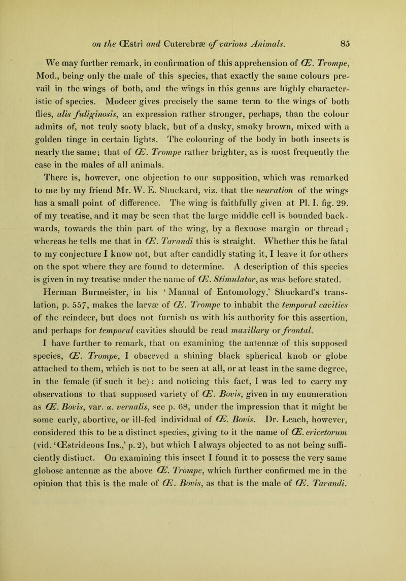 We may further remark, in confirmation of this apprehension of CE. Trompe, Mod., being only the male of this species, that exactly the same colours pre- vail in the wings of both, and the wings in this genus are highly character- istic of species. Modeer gives precisely the same term to the wings of both flies, alis fuliginosis, an expression rather stronger, perhaps, than the colour admits of, not truly sooty black, but of a dusky, smoky brown, mixed with a golden tinge in certain lights. The colouring of the body in both insects is nearly the same; that of CE. Trompe rather brighter, as is most frequently the case in the males of all animals. There is, however, one objection to our supposition, which was remarked to me by my friend Mr. W. E. Shuckard, viz. that the neuration of the wings has a small point of difference. The wing is faithfully given at PI. I. fig. 29. of my treatise, and it may be seen that the large middle cell is bounded back- wards, towards the thin part of the wing, by a flexuose margin or thread ; whereas he tells me that in CE. Tarandi this is straight. Whether this be fatal to my conjecture I know not, but after candidly stating it, I leave it for others on the spot where they are found to determine. A description of this species is given in my treatise under the name of CE. Stimulator, as was before stated. Herman Burmeister, in his c Manual of Entomology,’ Shuckard’s trans- lation, p. 557, makes the larvae of CE. Trompe to inhabit the temporal cavities of the reindeer, but does not furnish us with his authority for this assertion, and perhaps for temporal cavities should be read maxillary or frontal. I have further to remark, that on examining the antennae of this supposed species, CE. Trompe, I observed a shining black spherical knob or globe attached to them, which is not to be seen at all, or at least in the same degree, in the female (if such it be): and noticing this fact, I was led to carry my observations to that supposed variety of CE. Bovis, given in my enumeration as CE. Bovis, var. a. vernalis, see p. 68, under the impression that it might be some early, abortive, or ill-fed individual of CE. Bovis. Dr. Leach, however, considered this to be a distinct species, giving to it the name of CE. ericetorum (vid. ‘GEstrideous Ins.,’ p. 2), but which I always objected to as not being suffi- ciently distinct. On examining this insect I found it to possess the very same globose antennae as the above CE. Trompe, which further confirmed me in the opinion that this is the male of CE. Bovis, as that is the male of CE. Tarandi.