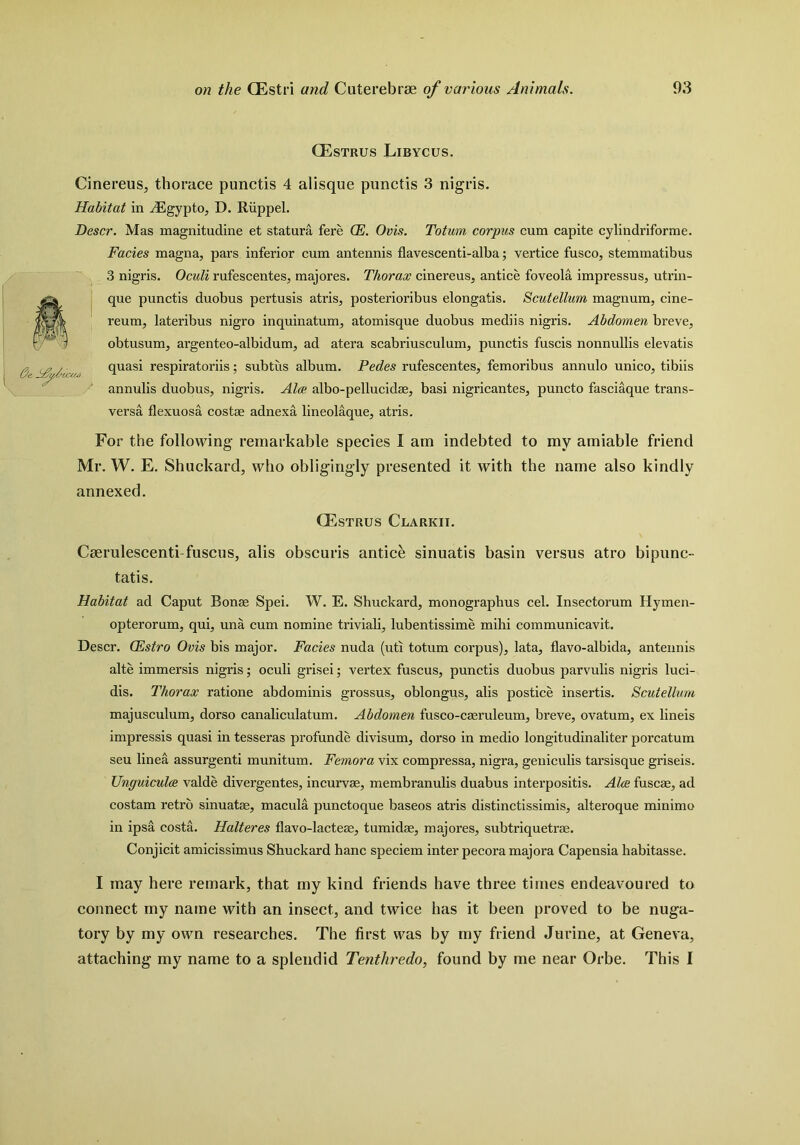 Oe Hf/tc CEstrus Libycus. Cinereus, thorace punctis 4 alisque punctis 3 nigris. Habitat in ^Egypto, D. Riippel. Descr. Mas magnitudine et statura fere CE. Ovis. Toturn corpus cum capite cylindriforme. Facies magna, pars inferior cum antennis flavescenti-alba; vertice fusco, stemmatibus 3 nigris. Oculi rufescentes, majores. Thorax cinereus, antice foveola impressus, utrin- que punctis duobus pertusis atris, posterioribus elongatis. Scutellum magnum, cine- reum, lateribus nigro inquinatum, atomisque duobus mediis nigris. Abdomen breve, obtusum, argenteo-albidum, ad atera scabriusculum, punctis fuscis nonnullis elevatis quasi respiratoriis; subtus album. Pedes rufescentes, femoribus annulo unico, tibiis annulis duobus, nigris. Alep, albo-pellucid*, basi nigricantes, puncto fasciaque trans- versa flexuosa costae adnexa lineolaque, atris. For the following remarkable species I am indebted to my amiable friend Mr. W. E. Shuckard, who obligingly presented it with the name also kindly annexed. GEstrus Clarkii. Cserulescenti-fuscus, alis obscuris antice sinuatis basin versus atro bipunc- tatis. Habitat ad Caput Ronae Spei. W. E. Shuckard, monographus cel. Insectorum Hymen- opterorum, qui, una cum nomine triviali, lubentissime mihi communicavit. Descr. CEstro Ovis bis major. Facies nuda (uti totum corpus), lata, flavo-albida, antennis alte immersis nigris; oculi grisei; vertex fuscus, punctis duobus parvulis nigris luci- dis. Thorax ratione abdominis grossus, oblongus, alis postice insertis. Scutellum majusculum, dorso canaliculatum. Abdomen fusco-c*ruleum, breve, ovatum, ex lineis impressis quasi in tesseras profunde divisum, dorso in medio longitudinaliter porcatum seu linea assurgenti munitum. Femora vix compressa, nigra, geniculis tarsisque griseis. Unguiculee valde divergentes, incurvae, membranulis duabus interpositis. Alee fuse*, ad costam retro sinuatae, macula punctoque baseos atris distinctissimis, alteroque minimo in ipsa costa. Halteres flavo-lacteae, tumid*, majores, subtriquetr*. Conjicit amicissimus Shuckard hanc speciem inter pecora majora Capensia habitasse. I may here remark, that my kind friends have three times endeavoured to connect my name with an insect, and twice has it been proved to be nuga- tory by my own researches. The first was by my friend Jurine, at Geneva, attaching my name to a splendid Tentliredo, found by me near Orbe. This I