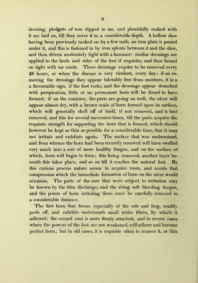 dressing, pledgets of tow dipped in tar, and plentifully soaked with it are laid on, till they cover it to a considerable depth. A hollow shoe having been previously tacked on by a few nails, an iron, plate is passed under it, and this is fastened in by iron splents between it and the shoe, and then driven moderately tight with a hammer: similar dressings are applied to the heels and sides of the foot if requisite, and then bound on tight with tar cords. These dressings require to be removed every 48 hours, or when the disease is very virulent, every day; if on re- moving the dressings they appear tolerably free from moisture, it is a a favourable sign, if the foot reeks, and the dressings appear drenched with perspiration, little or no permanent horn will be found to have formed; if on the contrary, the parts are going on well, the ulcer will appear almost dry, with a brown scale of horn formed upon its surface, which will generally shell off of itself, if not removed, and is best removed, and this for several successive times, till the parts acquire the requisite strength for supporting the horn that is formed, which should however be kept as thin as possible for a considerable time, that it may not irritate and exfoliate again. The surface that was undermined, and from whence the horn had been recently removed will have swelled very much into a sort of more healthy fungus, and on the surface of which, horn will begin to form; this being removed, another layer be- neath this takes place, and so on till it reaches the natural foot. By this curious process nature seems to acquire room, and avoids that compression which the immediate formation of horn on the ulcer would occasion. The parts of the sore that were subject to irritation may be known by the thin discharge, and the rising soft bleeding fungus, and the points of horn irritating them must be carefully removed to a considerable distance. The first horn that forms, especially of the sole and frog, readily peels off, and exhibits underneath small white fibres, by which it adhered; the second coat is more firmly attached, and in recent cases where the powers of the foot are not weakened, will adhere and become perfect horn; but in old cases, it is requisite often to remove it, or thin