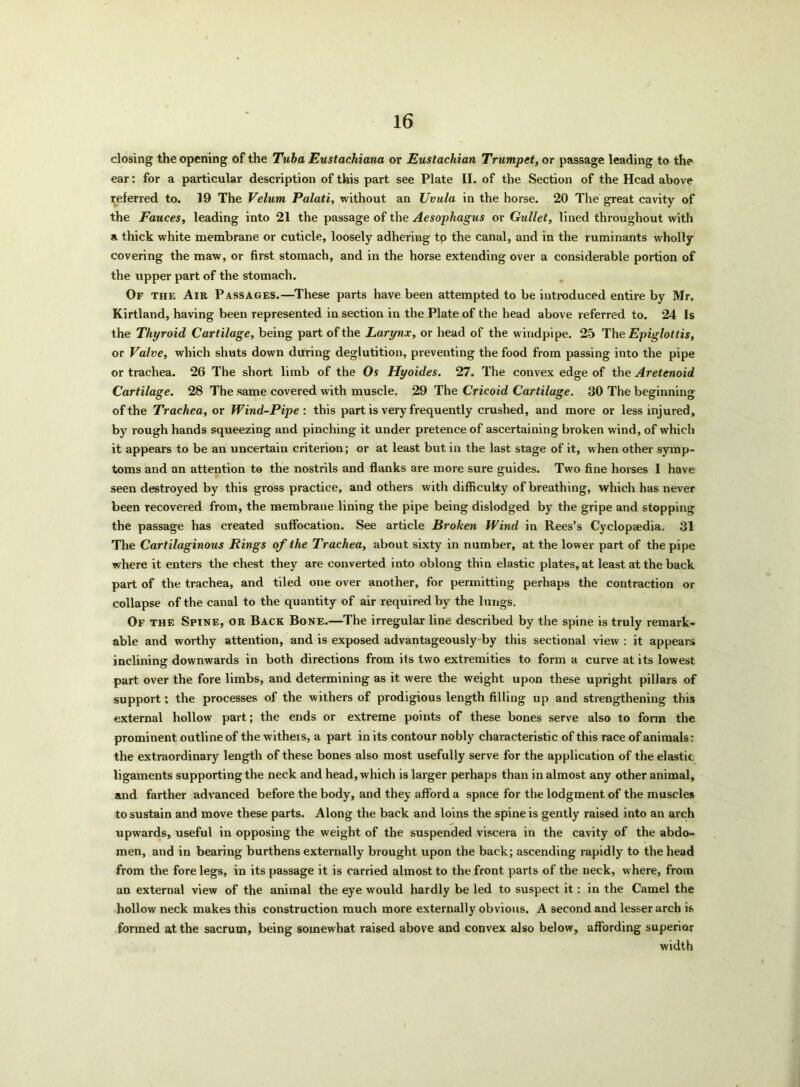 closing the opening of the Tuba Eustachiana or Eustachian Trumpet, or passage leading to the ear: for a particular description of this part see Plate II. of the Section of the Head above referred to. 19 The Velum Palati, without an Uvula in the horse. 20 The great cavity of the Fauces, leading into 21 the passage of the Aesophagus or Gullet, lined throughout with a thick white membrane or cuticle, loosely adhering to the canal, and in the ruminants wholly covering the maw, or first stomach, and in the horse extending over a considerable portion of the upper part of the stomach. Of the Air Passages.—These parts have been attempted to be introduced entire by Mr. Kirtland, having been represented in section in the Plate of the head above referred to. 24 Is the Thyroid Cartilage, being part of the Larynx, or head of the windpipe. 25 The Epiglottis, or Valve, which shuts down during deglutition, preventing the food from passing into the pipe or trachea. 26 The short limb of the Os Hyoides. 27. The convex edge of the Aretenoid Cartilage. 28 The same covered with muscle. 29 The Cricoid Cartilage. 30 The beginning of the Trachea, or Wind-Pipe : this part is very frequently crushed, and more or less injured, by rough hands squeezing and pinching it under pretence of ascertaining broken wind, of which it appears to be an uncertain criterion; or at least but in the last stage of it, when other symp- toms and an attention to the nostrils and flanks are more sure guides. Two fine horses I have seen destroyed by this gross practice, and others with difficulty of breathing, which has never been recovered from, the membraue lining the pipe being dislodged by the gripe and stopping the passage has created suffocation. See article Broken Wind in Rees’s Cyclopaedia. 31 The Cartilaginous Rings of the Trachea, about sixty in number, at the lower part of the pipe where it enters the chest they are converted into oblong thin elastic plates, at least at the back part of the trachea, and tiled one over another, for permitting perhaps the contraction or collapse of the canal to the quantity of air required by the lungs. Of the Spine, or Back Bone.—The irregular line described by the spine is truly remark- able and worthy attention, and is exposed advantageously by this sectional view : it appears inclining downwards in both directions from its two extremities to forma curve at its lowest part over the fore limbs, and determining as it were the weight upon these upright pillars of support; the processes of the withers of prodigious length filling up and strengthening this external hollow part; the ends or extreme points of these bones serve also to form the prominent outline of the withers, a part in its contour nobly characteristic of this race of animals: the extraordinary length of these bones also most usefully serve for the application of the elastic ligaments supporting the neck and head, which is larger perhaps than in almost any other animal, and farther advanced before the body, and they afford a space for the lodgment of the muscles to sustain and move these parts. Along the back and loins the spine is gently raised into an arch upwards, useful in opposing the weight of the suspended viscera in the cavity of the abdo- men, and in bearing burthens externally brought upon the back; ascending rapidly to the head from the fore legs, in its passage it is carried almost to the front parts of the neck, where, from an external view of the animal the eye would hardly be led to suspect it: in the Camel the hollow neck makes this construction much more externally obvious. A second and lesser arch is formed at the sacrum, being somewhat raised above and convex also below, affording superior width