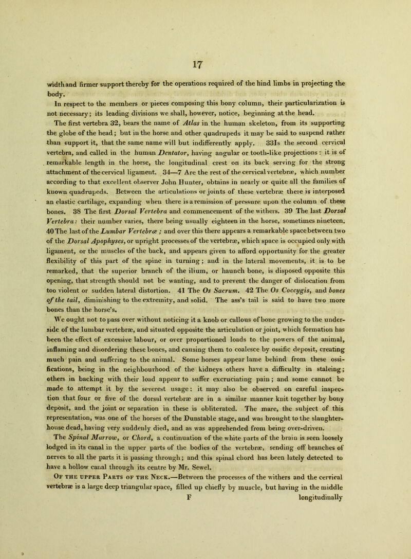 width and firmer support thereby for the operations required of the hind limbs in projecting the body. In respect to the members or pieces composing this bony column, their particularization is not necessary; its leading divisions we shall, however, notice, beginning at the head. The first vertebra 32, bears the name of Atlas in the human skeleton, from its supporting the globe of the head; but in the horse and other quadrupeds it may be said to suspend rather than support it, that the same name will but indifferently apply. 331s the second cervical vertebra, and called in the human Dentator, having angular or tooth-like projections : it is of remarkable length in the horse, the longitudinal crest on its back serving for the strong attachment of the cervical ligament. 34—7 Are the rest of the cervical vertebrae, which number according to that excellent observer John Hunter, obtains in nearly or quite all the families of known quadrupeds. Between the articulations or joints of these vertebrae there is interposed an elastic cartilage, expanding when there is a remission of pressure upon the column of these bones. 38 The first Dorsal Vertebra and commencement of the withers. 39 The last Dorsal Vertebra: their number varies, there being usually eighteen in the horse, sometimes nineteen. 40 The last of the Lumbar Vertebrce ; and over this there appears a remarkable spacebetween two of the Dorsal Apophyses, or upright processes of the vertebrae, which space is occupied only with ligament, or the muscles of the back, and appears given to afford opportunity for the greater flexibility of this part of the spine in turning; and in the lateral movements, it is to be remarked, that the superior branch of the ilium, or haunch bone, is disposed opposite this opening, that strength should not be wanting, and to prevent the danger of dislocation from too violent or sudden lateral distortion. 41 The Os Sacrum. 42 The Os Coccygis, and bones of the tail, diminishing to the extremity, and solid. The ass’s tail is said to have two more bones than the horse’s. We ought not to pass over without noticing it a knob or callous of bone growing to the under- side of the lumbar vertebrae, and situated opposite the articulation or joint, which formation has been the effect of excessive labour, or over proportioned loads to the powers of the animal, inflaming and disordering these bones, and causing them to coalesce by ossific deposit, creating much pain and suffering to the animal. Some horses appear lame behind from these ossi- fications, being in the neighbourhood of the kidneys others have a difficulty in staleing; others in backing with their load appear to suffer excruciating pain; and some cannot be made to attempt it by the severest usage: it may also be observed on careful inspec- tion that four or five of the dorsal vertebrae are in a similar manner knit together by bony deposit, and the joint or separation in these is obliterated. The mare, the subject of this representation, was one of the horses of the Dunstable stage, and was brought to the slaughter- house dead, having very suddenly died, and as was apprehended from being over-driven. The Spinal Marrow, or Chord, a continuation of the white parts of the brain is seen loosely lodged in its canal in the upper parts of the bodies of the vertebrae, sending off branches of nerves to all the parts it is passing through; and this spinal chord has been lately detected to have a hollow canal through its centre by Mr. Sewel. Of the upper Parts of the Neck.—Between the processes of the withers and the cervical vertebrae is a large deep triangular space, filled up chiefly by muscle, but having in the middle F longitudinally