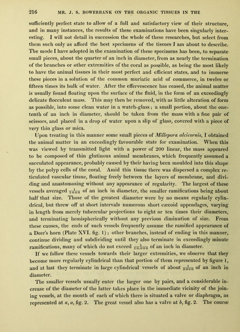 sufficiently perfect state to allow of a full and satisfactory view of their structure, and in many instances, the results of these examinations have been singularly inter- esting. I will not detail in succession the whole of these researches, but select from them such only as afford the best specimens of the tissues I am about to describe. The mode I have adopted in the examination of these specimens has been, to separate small pieces, about the quarter of an inch in diameter, from as nearly the termination of the branches or other extremities of the coral as possible, as being the most likely to have the animal tissues in their most perfect and efficient states, and to immerse these pieces in a solution of the common muriatic acid of commerce, in twelve or fifteen times its bulk of water. After the effervescence has ceased, the animal matter is usually found floating upon the surface of the fluid, in the form of an exceedingly delicate flocculent mass. This may then be removed, with as little alteration of form as possible, into some clean water in a watch-glass; a small portion, about the one- tenth of an inch in diameter, should be taken from the mass with a fine pair of scissors, and placed in a drop of water upon a slip of glass, covered with a piece of very thin glass or mica. Upon treating in this manner some small pieces of Millepora alcicornis, I obtained the animal matter in an exceedingly favourable state for examination. When this was viewed by transmitted light with a power of 200 linear, the mass appeared to be composed of thin glutinous animal membranes, which frequently assumed a sacculated appearance, probably caused by their having been moulded into this shape by the polyp cells of the coral. Amid this tissue there was dispersed a complex re- ticulated vascular tissue, floating freely between the layers of membrane, and divi- ding and anastomosing without any appearance of regularity. The largest of these vessels averaged 5 0T00- of an inch in diameter, the smaller ramifications being about half that size. Those of the greatest diameter were by no means regularly cylin- drical, but threw off at short intervals numerous short ceecoid appendages, varying in length from merely tubercular projections to eight or ten times their diameters, and terminating hemispherically without any previous diminution of size. From these causes, the ends of such vessels frequently assume the ramified appearance of a Deer’s horn (Plate XVI. fig. 1); other branches, instead of ending in this manner, continue dividing and subdividing until they also terminate in exceedingly minute ramifications, many of which do not exceed 20iq00 of an inch in diameter. If we follow these vessels towards their larger extremities, we observe that they become more regularly cylindrical than that portion of them represented by figure 1, and at last they terminate in large cylindrical vessels of about 3W0 °f an inch in diameter. The smaller vessels usually enter the larger one by pairs, and a considerable in- crease of the diameter of the latter takes place in the immediate vicinity of the join- ing vessels, at the mouth of each of which there is situated a valve or diaphragm, as represented at a, a, fig. 2. The great vessel also has a valve at b, fig. 2. The course