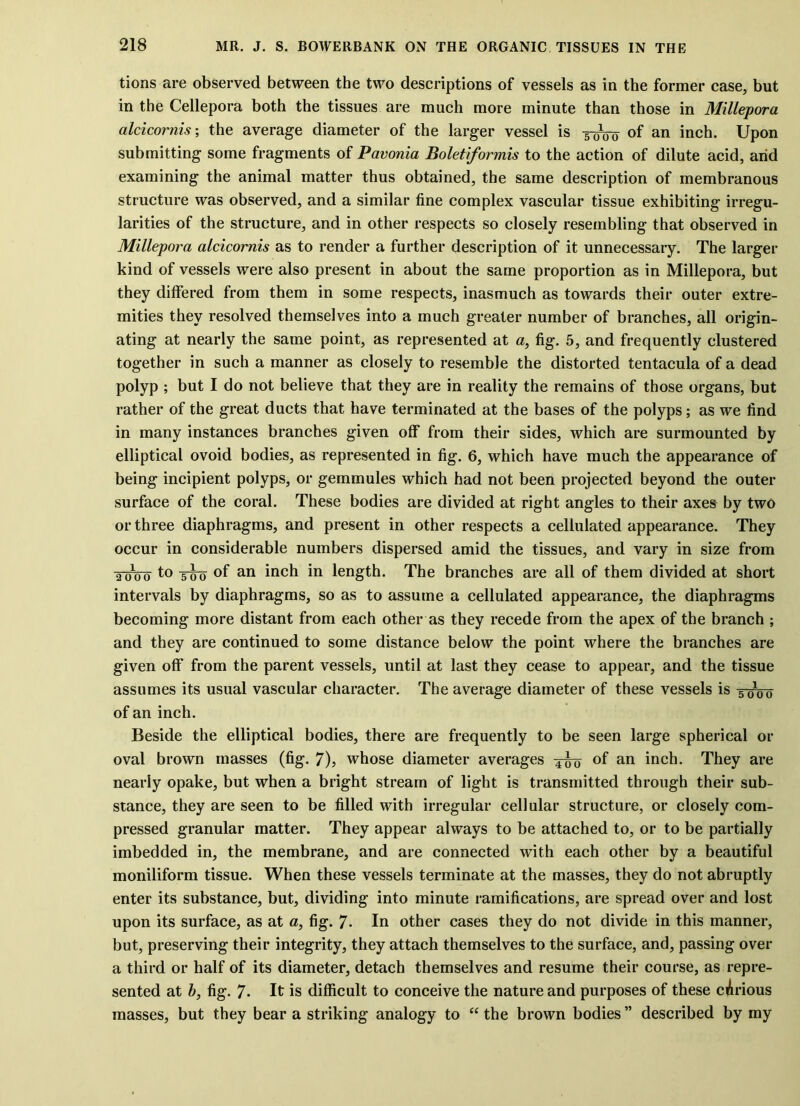 tions are observed between the two descriptions of vessels as in the former case, but in the Cellepora both the tissues are much more minute than those in Millepora alcicornis; the average diameter of the larger vessel is 3-^0 of an inch. Upon submitting some fragments of Pavonia Boletiformis to the action of dilute acid, arid examining the animal matter thus obtained, the same description of membranous structure was observed, and a similar fine complex vascular tissue exhibiting irregu- larities of the structure, and in other respects so closely resembling that observed in Millepora alcicornis as to render a further description of it unnecessary. The larger kind of vessels were also present in about the same proportion as in Millepora, but they differed from them in some respects, inasmuch as towards their outer extre- mities they resolved themselves into a much greater number of branches, all origin- ating at nearly the same point, as represented at a, fig. 5, and frequently clustered together in such a manner as closely to resemble the distorted tentacula of a dead polyp ; but I do not believe that they are in reality the remains of those organs, but rather of the great ducts that have terminated at the bases of the polyps; as we find in many instances branches given off from their sides, which are surmounted by elliptical ovoid bodies, as represented in fig. 6, which have much the appearance of being incipient polyps, or gemmules which had not been projected beyond the outer surface of the coral. These bodies are divided at right angles to their axes by two or three diaphragms, and present in other respects a cellulated appearance. They occur in considerable numbers dispersed amid the tissues, and vary in size from aoo'o to 5-jjo of an inch in length. The branches are all of them divided at short intervals by diaphragms, so as to assume a cellulated appearance, the diaphragms becoming more distant from each other as they recede from the apex of the branch ; and they are continued to some distance below the point where the branches are given off from the parent vessels, until at last they cease to appear, and the tissue assumes its usual vascular character. The average diameter of these vessels is 3-^0 of an inch. Beside the elliptical bodies, there are frequently to be seen large spherical or oval brown masses (fig. 7), whose diameter averages 4^0 °f an inch. They are nearly opake, but when a bright stream of light is transmitted through their sub- stance, they are seen to be filled with irregular cellular structure, or closely com- pressed granular matter. They appear always to be attached to, or to be partially imbedded in, the membrane, and are connected with each other by a beautiful moniliform tissue. When these vessels terminate at the masses, they do not abruptly enter its substance, but, dividing into minute ramifications, are spread over and lost upon its surface, as at a, fig. 7. In other cases they do not divide in this manner, but, preserving their integrity, they attach themselves to the surface, and, passing over a third or half of its diameter, detach themselves and resume their course, as repre- sented at b, fig. 7- It is difficult to conceive the nature and purposes of these carious masses, but they bear a striking analogy to “ the brown bodies ” described by my
