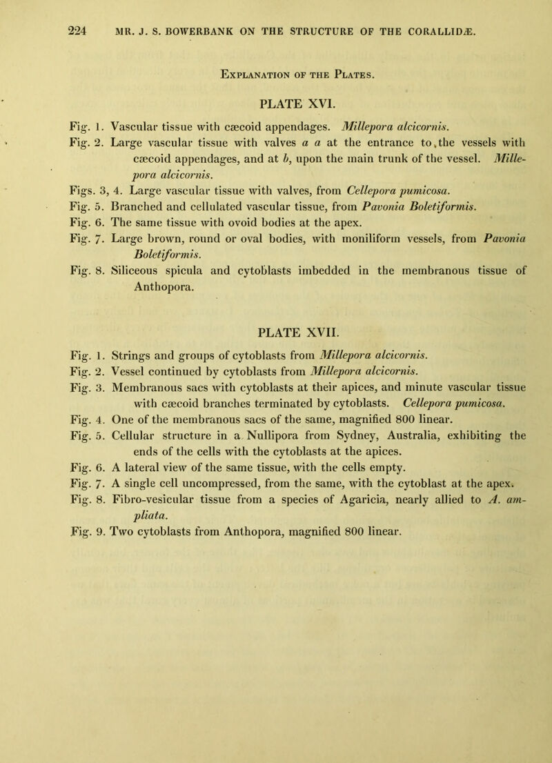 Explanation of the Plates. PLATE XVI. Fig-. 1. Vascular tissue with csecoid appendages. Millepora alcicornis. Fig. 2. Large vascular tissue with valves a a at the entrance to * the vessels with csecoid appendages, and at b, upon the main trunk of the vessel. Mille- pora alcicornis. Figs. 3, 4. Large vascular tissue with valves, from Cellepora pumicosa. Fig. 5. Branched and cellulated vascular tissue, from Pavonia Boletiformis. Fig. 6. The same tissue with ovoid bodies at the apex. Fig. 7* Large brown, round or oval bodies, with moniliform vessels, from Pavonia Boletiformis. Fig. 8. Siliceous spicula and cytoblasts imbedded in the membranous tissue of Anthopora. PLATE XVII. Fig. 1. Strings and groups of cytoblasts from Millepora alcicornis. Fig. 2. Vessel continued by cytoblasts from Millepora alcicornis. Fig. 3. Membranous sacs with cytoblasts at their apices, and minute vascular tissue with csecoid branches terminated by cytoblasts. Cellepora pumicosa. Fig. 4. One of the membranous sacs of the same, magnified 800 linear. Fig. 5. Cellular structure in a Nullipora from Sydney, Australia, exhibiting the ends of the cells with the cytoblasts at the apices. Fig. 6. A lateral view of the same tissue, with the cells empty. Fig. 7- A single cell uncompressed, from the same, with the cytoblast at the apex. Fig. 8. Fibro-vesicular tissue from a species of Agaricia, nearly allied to A. am- pliata. Fig. 9. Two cytoblasts from Anthopora, magnified 800 linear.
