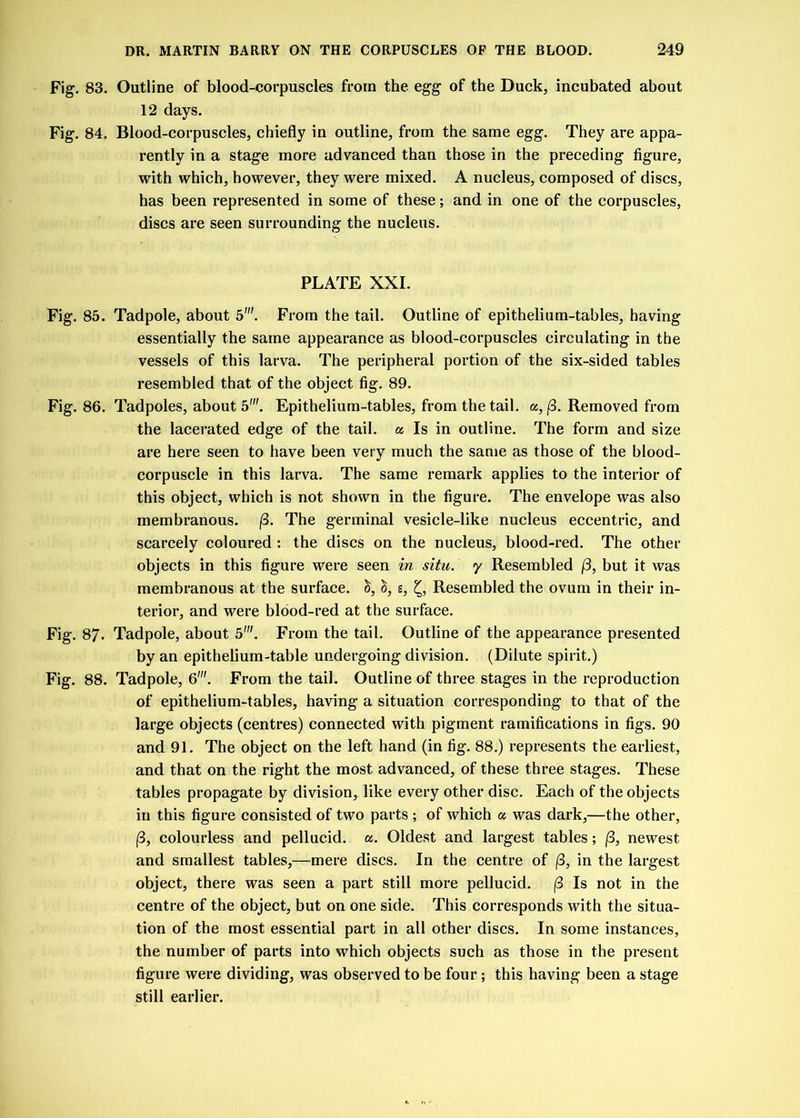 Fig. 83. Outline of blood-corpuscles from the egg of the Duck, incubated about 12 days. Fig. 84. Blood-corpuscles, chiefly in outline, from the same egg. They are appa- rently in a stage more advanced than those in the preceding figure, with which, however, they were mixed. A nucleus, composed of discs, has been represented in some of these; and in one of the corpuscles, discs are seen surrounding the nucleus. PLATE XXI. Fig. 85. Tadpole, about 5'. From the tail. Outline of epithelium-tables, having essentially the same appearance as blood-corpuscles circulating in the vessels of this larva. The peripheral portion of the six-sided tables resembled that of the object fig. 89. Fig. 86. Tadpoles, about 5'. Epithelium-tables, from the tail, a, (3. Removed from the lacerated edge of the tail, a Is in outline. The form and size are here seen to have been very much the same as those of the blood- corpuscle in this larva. The same remark applies to the interior of this object, which is not shown in the figure. The envelope was also membranous. (3. The germinal vesicle-like nucleus eccentric, and scarcely coloured : the discs on the nucleus, blood-red. The other objects in this figure were seen in situ, y Resembled (3, but it was membranous at the surface. &, c$, g, £, Resembled the ovum in their in- terior, and were blood-red at the surface. Fig. 87. Tadpole, about 5'. From the tail. Outline of the appearance presented by an epithelium-table undergoing division. (Dilute spirit.) Fig. 88. Tadpole, 6'. From the tail. Outline of three stages in the reproduction of epithelium-tables, having a situation corresponding to that of the large objects (centres) connected with pigment ramifications in figs. 90 and 91. The object on the left hand (in fig. 88.) represents the earliest, and that on the right the most advanced, of these three stages. These tables propagate by division, like every other disc. Each of the objects in this figure consisted of two parts ; of which a was dark,—the other, (3, colourless and pellucid, a. Oldest and largest tables; (3, newest and smallest tables,—mere discs. In the centre of (3, in the largest object, there was seen a part still more pellucid. (3 Is not in the centre of the object, but on one side. This corresponds with the situa- tion of the most essential part in all other discs. In some instances, the number of parts into which objects such as those in the present figure were dividing, was observed to be four; this having been a stage still earlier.