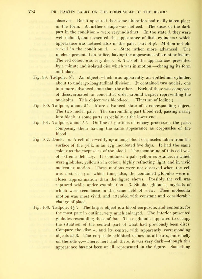 observer. But it appeared that some alteration had really taken place in the form. A further change was noticed. The discs of the dark part in the condition a, were very indistinct. In the state (3, they were well defined, and presented the appearance of little cylinders: which appearance was noticed also in the paler part of (3. Motion not ob- served in the condition (3. y. State rather more advanced. The nucleus presented an orifice, having the appearance of a rent or fissure. The red colour was very deep. 1. Two of the appearances presented by a minute and isolated disc which was in motion,—changing its form and place. Fig. 99. Tadpole, 5'. An object, which was apparently an epithelium-cylinder, about to undergo longitudinal division. It contained two nuclei; one in a more advanced state than the other. Each of these was composed of discs, situated in concentric order around a space representing the nucleolus. This object was blood-red. (Tincture of iodine.) Fig. 100. Tadpole, about 5'. More advanced state of a corresponding object. The two nuclei pale. The surrounding part blood-red, passing nearly into black at some parts, especially at the lower end. Fig. J01. Tadpole, about 5'. Outline of portions of ciliary processes; the parts composing them having the same appearance as corpuscles of the blood. Fig. 102. Duck. a. A cell observed lying among blood-corpuscles taken from the surface of the yelk, in an egg incubated five days. It had the same colour as the corpuscles of the blood. The membrane of this cell was of extreme delicacy. It contained a pale yellow substance, in which were globules, yellowish in colour, highly refracting light, and in vivid molecular motion. These motions were not observed when the cell was first seen ; at which time, also, the contained globules were in closer approximation than the figure shows. Possibly the cell was ruptured while under examination. (3. Similar globules, myriads of which were seen loose in the same field of view. Their molecular motion was most vivid, and attended with constant and considerable change of place. Fig. 103. Tadpole, 4j. The larger object is a blood-corpuscle, and contents, for the most part in outline, very much enlarged. The interior presented globules resembling those of fat. These globules appeared to occupy the situation of the central part of what had previously been discs. Compare the disc a, and its centre, with apparently corresponding objects at (3. The corpuscle exhibited redness at all parts, but chiefly on the side y,—where, here and there, it was very dark,—though this appearance has not been at all represented in the figure. Something