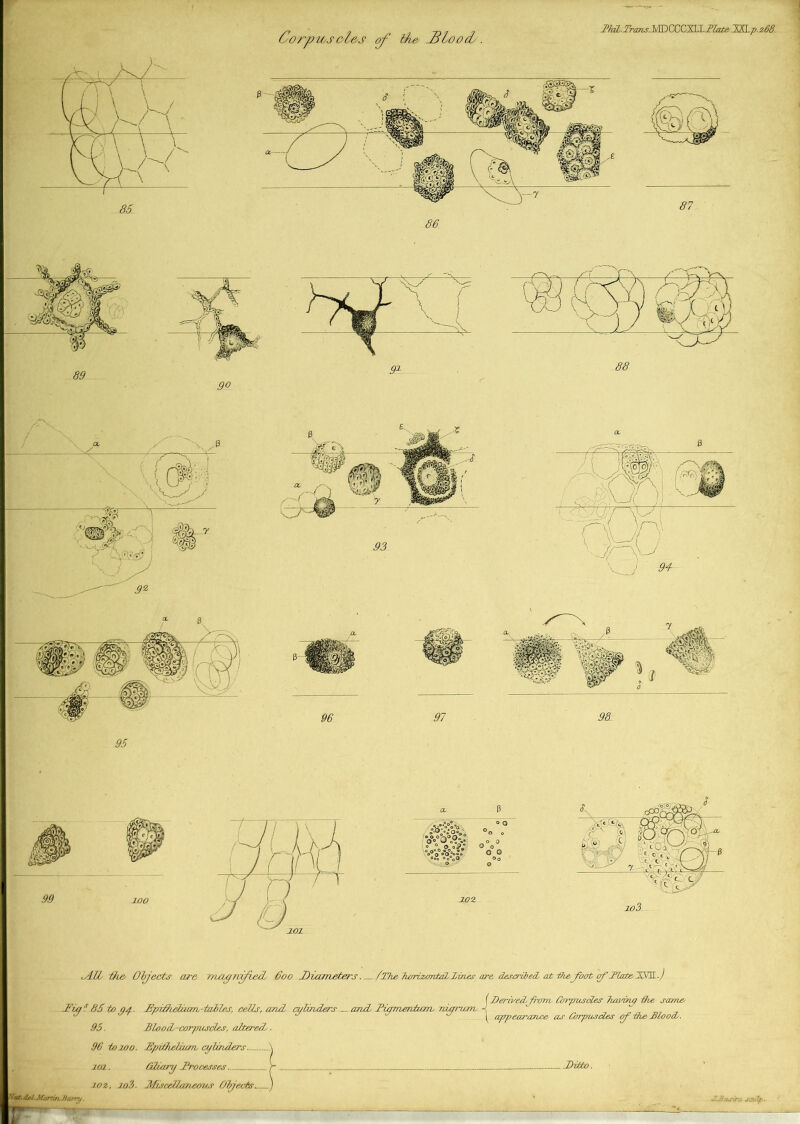did,.Trans.-.VIDCCCXI,1.TlatS. XXI.p.2.68. SLIL ike Oijects are TriagnpLecL 600 Diameter-S /'The TwrizontdtXines are described, at ihefoot TlateJXnL.) Diys 86 to py. Dpidhetuarv-iailes, cedis, and cylinders _ aruL Tiymendzcm, rd/p-um, ■95. mood-corpuscles, altered^. 96 to 100. CEpiffieUum cylinders \ (Derived, from. Corpuscles Timing the same I appearance as Corpuscles <p the JBlood. Nerfr. cIaI, . -Marti/}, Barry. r 101. Gdiany Processes xoz, io3. 3£iicel2aneous Objects.. . Ditto.