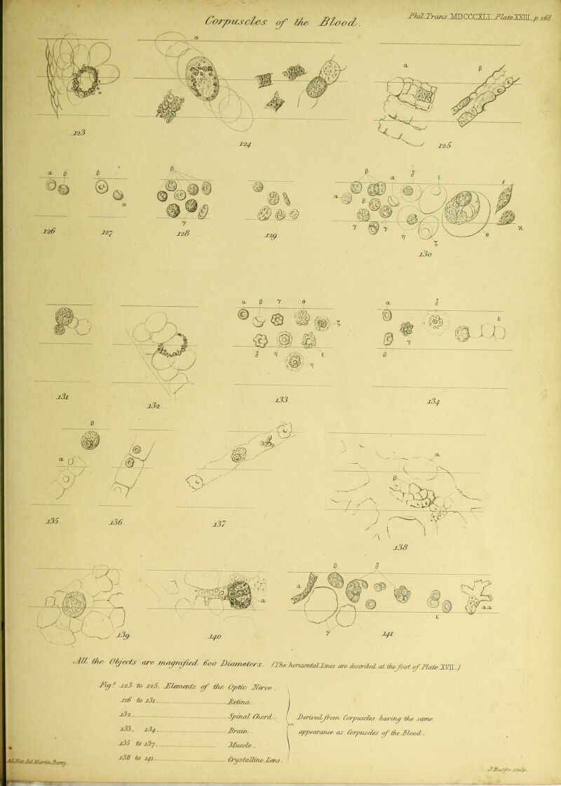 TM,.Trcais.MDCCCXTTT. 7%na>Vxni *, 268. a- 0 6 226 22^ fl T' -Zj?6> J.2z a B y Q ® V ® i : - _g> ® a <5 'n r^, £ i33 1 ? ®XU 23/J. 235 j36 O' alL -V- 1/L -2.57 ' -27» described, at the foot of Mate J£VJ1. J AS.No/ ,/,/. Morris> /lorn/. -F'a/* Jaz3 to J2$. Jdlemercts of the Optlo JSlerve . -Z26 to i3i Jtetzoay . I Spvn/iL CharrcL . ( Derzvedfrojn Corpuscles having the same j.3o , 2.34 23ra?in, . j ajjpearance as Corpuscles of die 3loo cl.. 236 to Muscle . \ u38 to J2/2 CfjstaIl2heMen,s. / d-Basirr sculp-