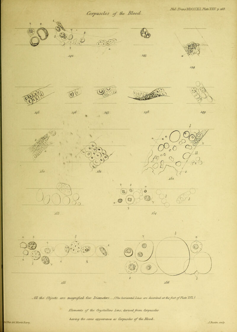 , i/Z the Objects aj'& nutyrafled. Coo /Diameters /The hnrizcavtalZThes are described, athhe^foot fTlateTd..) It/Nuf del. Afartm.Barry /Elements if thr Crystalline. Zens, derivedjranv Corpuscles having the same appearasice as- Corpuscles of theTlooiL. J.jBcLszre, sculp.