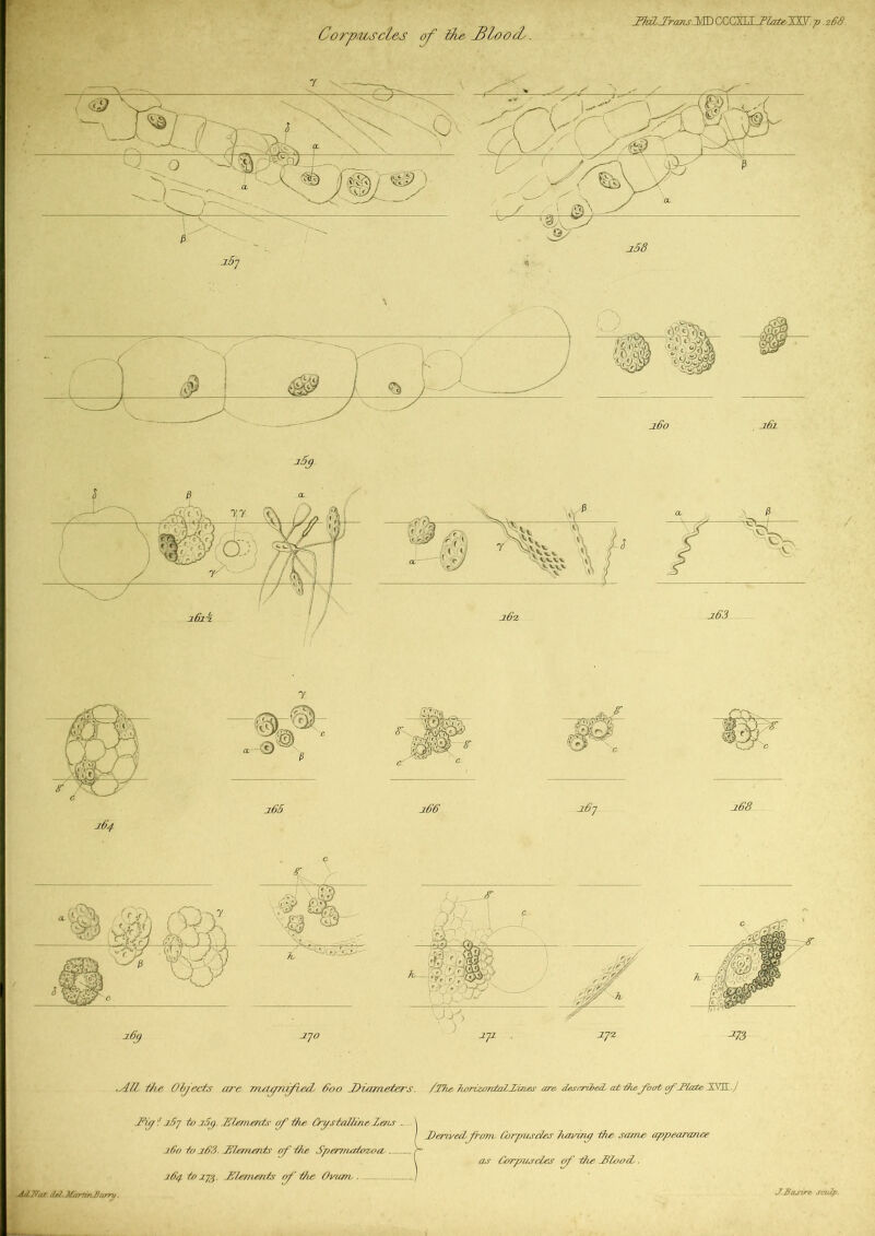 Corpuscles of the UloocL. DhX.DanstMDCCCSIiL.Diahe.llLV .p .268 .AIL the Objects are nuffrupiecL 800 Diameters. /Die herizontalZiries are described. a±-thefoot of .Plate DLL.) LFit/i j.57 to i5<j. .'Elements of the tApstnlizneXeris . \ / Denvedjrotn Corpuscles having the same appearance j.60 to i83. X'/nnents of the Spermatozoa / l as Corpuscles of the Stood.. 184. tor.73. DUemends of the Ovum, / dtJ IN at-, tlrl MartinJJamt J.Basire scidp.