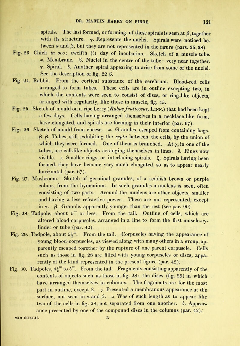 spirals. The last formed, or forming, of these spirals is seen at |8, together with its structure, y. Represents the nuclei. Spirals were noticed be- tween a and but they are not represented in the figure (pars. 35,38). Fig. 23. Chick in ovo; twelfth (?) day of incubation. Sketch of a muscle-tube. a. Membrane. /3. Nuclei in the centre of the tube: very near together, y. Spiral. S. Another spiral appearing to arise from some of the nuclei. See the description of fig. 22 (3. Fig. 24. Rabbit. From the cortical substance of the cerebrum. Blood-red cells arranged to form tubes. These cells are in outline excepting two, in which the contents were seen to consist of discs, or ring-like objects, arranged with regularity, like those in muscle, fig. 45. Fig. 25. Sketch of mould on a ripe berry {Rubus fruticosus, Linn.) that had been kept a few days. Cells having arranged themselves in a necklace-like form, have elongated, and spirals are forming in their interior (par. 67). Fig. 26. Sketch of mould from cheese, a. Granules, escaped from containing bags. |8, |3. Tubes, still exhibiting the septa between the cells, by the union of which they were formed. One of them is branched. At y, in one of the tubes, are cell-like objects arranging themselves in lines. Rings now visible, g. Smaller rings, or interlacing spirals. Spirals having been formed, they have become very much elongated, so as to appear nearly horizontal (par. 67). Fig. 27. Mushroom. Sketch of germinal granules, of a reddish brown or purple colour, from the hynienium. In such granules a nucleus is seen, often consisting of two parts. Around the nucleus are other objects, smaller and having a less refractive power. These are not represented, except in a. (3. Granule, apparently younger than the rest (see par. 90). Fig. 28. Tadpole, about 5' or less. From the tail. Outline of cells, which are altered blood-corpuscles, arranged in a line to form the first muscle-cy- linder or tube (par. 42). Fig. 29. Tadpole, about 5^'. From the tail. Corpuscles having the appearance of young blood-corpuscles, as viewed along with many others in a group, ap- parently escaped together by the rupture of one parent corpuscle. Cells such as those in fig. 28 are filled with young corpuscles or discs, appa- rently of the kind represented in the present figure (par. 42). Fig. 30. Tadpoles, 4|' to 5'. From the tail. Fragments consisting apparently of the contents of objects such as those in fig. 28; the discs (fig. 29) in which have arranged themselves in columns. The fragments are for the most part in outline, except f3. y Presented a membranous appearance at the surface, not seen in a and (3. a Was of such length as to appear like two of the cells in fig. 28, not separated from one another. Appear- ance presented by one of the compound discs in the columns (par. 42).' MDCCCXLII. R