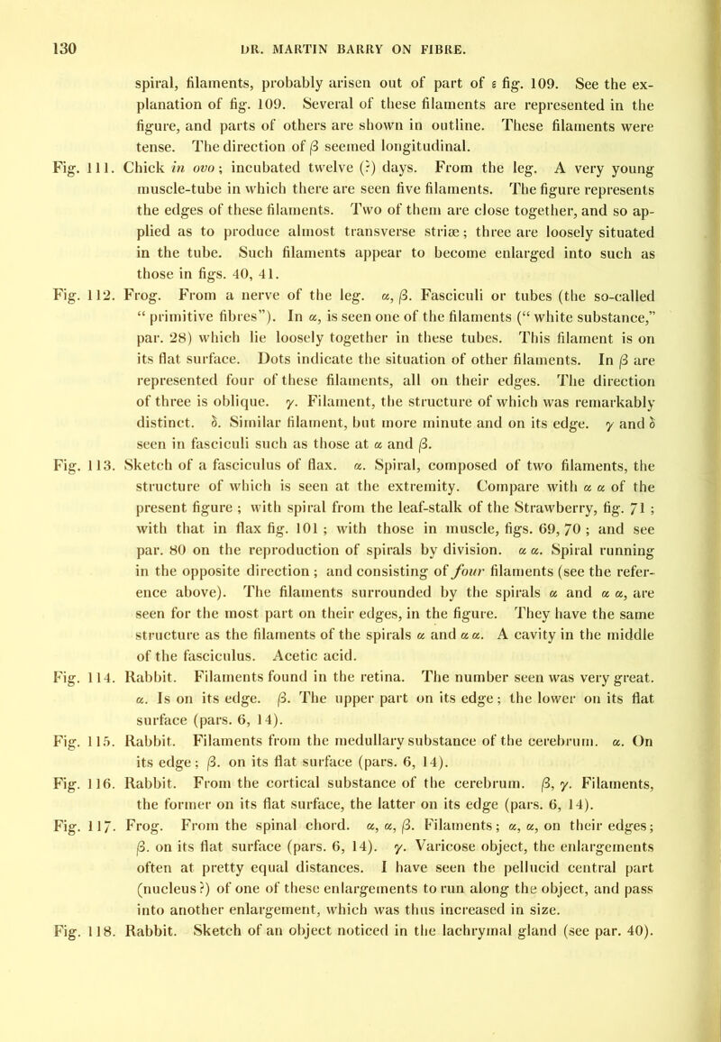 Fig. 111. Fig. 112. Fig. 113. Fig. 114. Fig. 11.5. Fig. 116. Fig. 11/. Fig. 118. spiral, filaments, probably arisen out of part of s fig. 109. See the ex- planation of fig. 109. Several of these filaments are represented in the figure, and parts of others are shown in outline. These filaments were tense. The direction of (3 seemed longitudinal. Chick in ovo; incubated twelve (?) days. From the leg. A very young muscle-tube in which there are seen five filaments. The figure represents the edges of these filaments. Two of them are close together, and so ap- plied as to produce almost transverse striae; three are loosely situated in the tube. Such filaments appear to become enlarged into such as those in figs. 40, 41. Frog. From a nerve of the leg. a, |3. Fasciculi or tubes (the so-called “ primitive fibres”). In a, is seen one of the filaments (“ white substance,” par. 28) which lie loosely together in these tubes. This filament is on its flat surface. Dots indicate the situation of other filaments. In (3 are represented four of these filaments, all on their edges. The direction of three is oblique, y. Filament, the structure of which was remarkably distinct. Similar filament, but more minute and on its edge, y and ^ seen in fasciculi such as those at a and |8. Sketch of a fasciculus of flax. a. Spiral, composed of two filaments, the structure of which is seen at the extremity. Compare with a a of the present figure ; with spiral from the leaf-stalk of the Strawberry, fig. ; with that in flax fig. 101; with those in muscle, figs. 69, 70 ; and see par. 80 on the reproduction of spirals by division, a a. Spiral running in the opposite direction ; and consisting of four filaments (see the refer- ence above). The filaments surrounded by the spirals a and a a, are seen for the most part on their edges, in the figure. They have the same structure as the filaments of the spirals a and a a. A cavity in the middle of the fasciculus. Acetic acid. Rabbit. Filaments found in the retina. The number seen was very great. a. Is on its edge. (3. The upper part on its edge; the lower on its flat surface (pars. 6, 14). Rabbit. Filaments from the medullary substance of the cerebrum, a. On its edge; (3. on its flat surface (pars. 6, 14). Rabbit. From the cortical substance of the cerebrum. (3, y. Filaments, the former on its flat surface, the latter on its edge (pars. 6, 14). Frog. From the spinal chord, a, a, (3. Filaments; a, a, on their edges; |3. on its flat surface (pars. 6, 14). y. Varicose object, the enlargements often at pretty equal distances. I have seen the pellucid central part (nucleus?) of one of these enlargements to run along the object, and pass into another enlargement, which was thus increased in size. Rabbit. Sketch of an object noticed in the lachrymal gland (see par. 40).