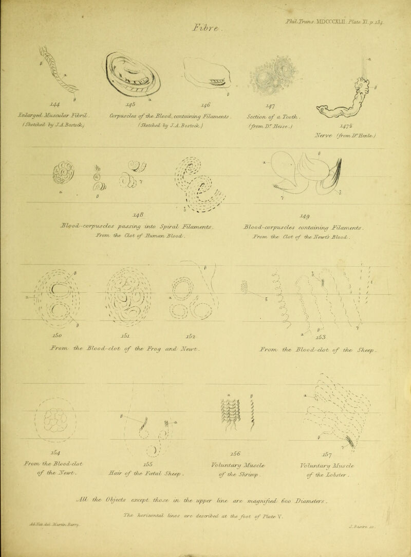 Fthr TluL.Trcvns. iIDCCCXLII._?&t* Jl .p.i3^. 5 . 244 J^rdarged, IdwsculciT FAriL. !SketcTud- Trg J.A.Bostock.j 246 Corpusd&s of-the^Flood, coTUawdrig Filaments . I Sketched Trg S.A.Bostoch.j igq Section of a Tooth.. tfom, X)T Bless e. J 247-^ FServe tJro7n,I)TSenU..I pitrY t. ^ \ a ^ ^ ; \ P (X •'( 7 '-a- g v‘'v' . V V J 7 M 7 Flood- V' '.-J.-;-' 5 V' ^ ' 248 ttOTpitsoies passing into SpAal FAaments. From the dot of Baman Blood. ^9 Flood-corpitscLes coTobaiiAn/:i Filametvts. From the Clcrt of the Fewts Blood . s - P . V'A 'A’\C 'A h' ■ \ 'i'AJ ^ l I f ... 2J- - \ '' P 7 „fl' 'A - A.' ■ ^ \ ; *, I ') , ' J 'J / I if ' ^ I ^ o.—V. ✓ I j MS:' 'M&h T. /, „ 'i «■ ■ -7 >, ' A,'-'' ' ’ zst \ ^ ^ >' • i \ \ } P-' ' ' ^ 26 0 j5i j5s  253 From, the Flood-clot of idle Froq and JSCeu't. From the Flood-dot of the/ Sherp.. T '( 204 \ , ^ From the BAoFclxit. of 1B1& FTewt . -i < '? r-. ); D;'.' i55 Hair of the Fcetal She.ep . M- 4 256 Vbhwntm'y FfwsciLe' of the Shrimp . Ct A' ■ N V» ‘ ■'.V N 267 VolMmtary hlusde. of the Fohster , AU the Ubjeebs except thx/se uv the upper Cine o2'& niagnfied/ 600 Ficanetei's. The horizontal tiroes are described at the foot of Blate.Y. AdtNaX/. cUL. Marune Barru. J'.jBasire’ sc .