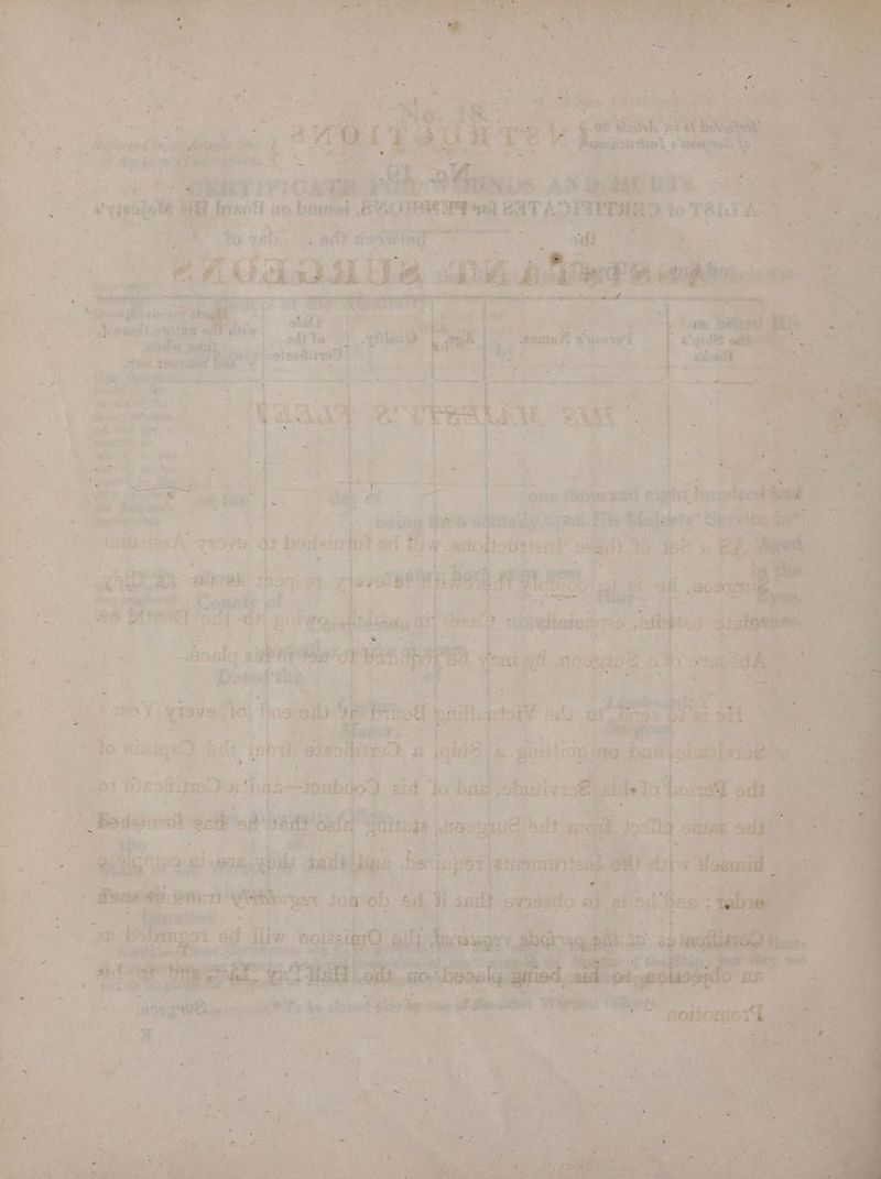 ; bat Ape aba : ou ts ar. are ty dt “or J ; ge: ae 4 ee ae cota RSS. y ; : 4 ; hat A@ ei a : ‘ f i f 1 ~ Pr Les “ ', ae capete OE MEY 3. wo Dae toe ites : = SO Fo teeebatae S) qe 4 badaic ; Ue ute = aaited 2 “ai, re tinean ae Comnty iT, re CO ne ae 1 i se ; i oa : AS ty g0islg 2 35 gee +i > “ > 2 t\- &amp; z 4 Fa a 2g} Fe = , } i ». Mt Mo hes BA) Late