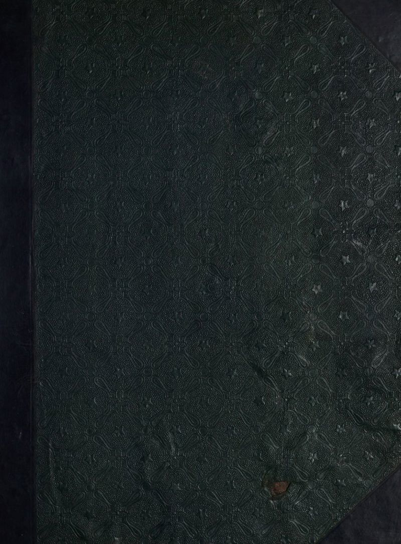 No text description is available for this image