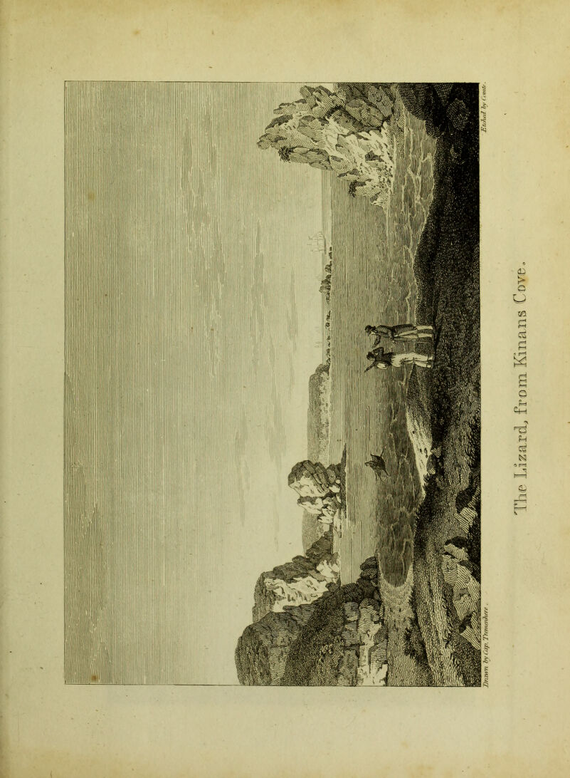 ' The Lizard, fromKmans Cove.