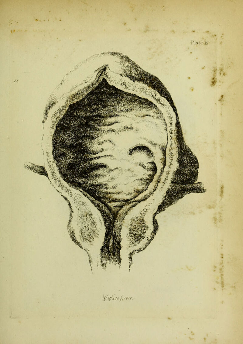 \i/'l{/a.<i<l f-. /P/S