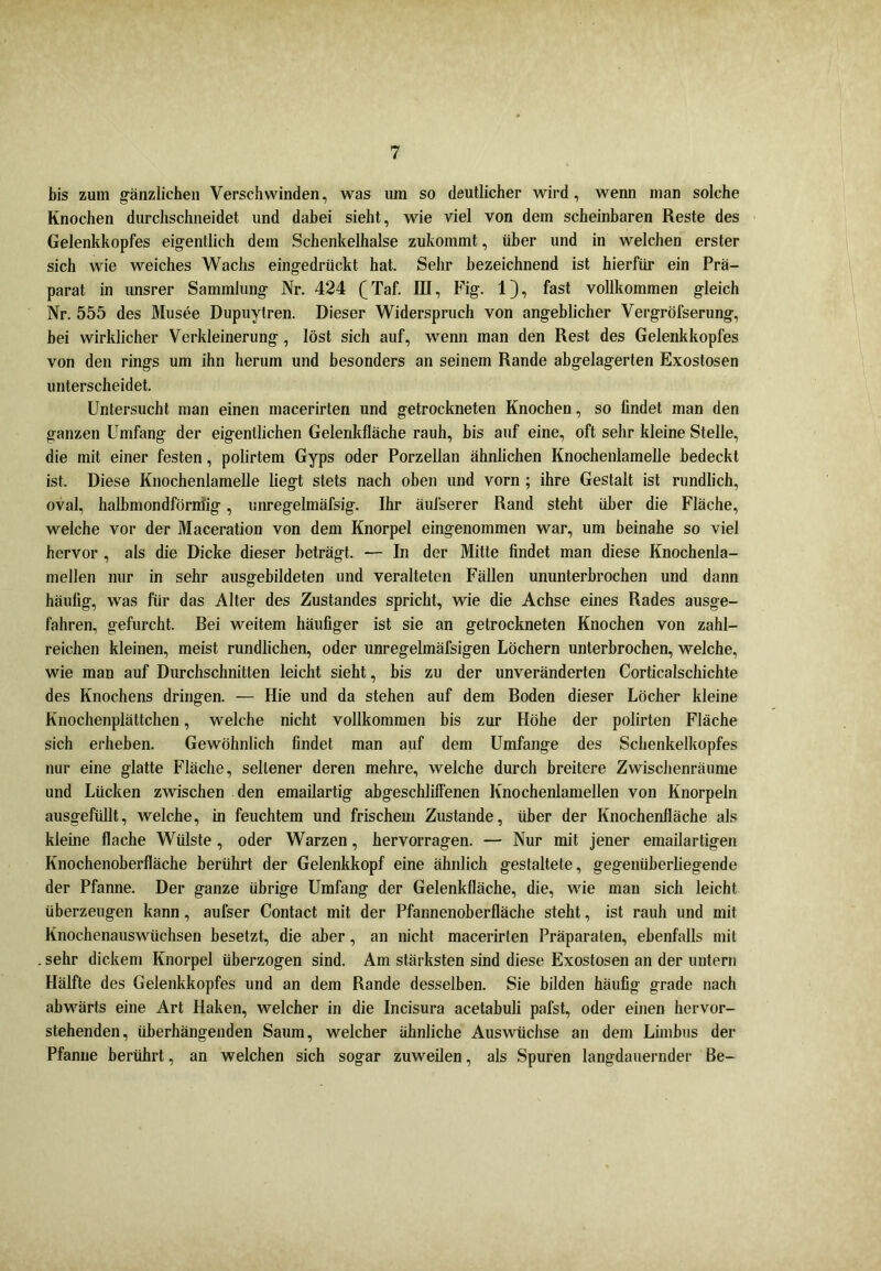 bis zum gänzlichen Verschwinden, was um so deutlicher wird, wenn man solche Knochen durchschneidet und dabei sieht, wie viel von dem scheinbaren Reste des Gelenkkopfes eigentlich dem Schenkelhälse zukommt, über und in welchen erster sich wie weiches Wachs eingedrückt hat. Sehr bezeichnend ist hierfür ein Prä- parat in unsrer Sammlung Nr. 424 (Taf. III, Fig. 1), fast vollkommen gleich Nr. 555 des Musee Dupuytren. Dieser Widerspruch von angeblicher Vergröfserung, hei wirklicher Verkleinerung, löst sich auf, wenn man den Rest des Gelenkkopfes von den rings um ihn herum und besonders an seinem Rande abgelagerten Exostosen unterscheidet. Untersucht man einen macerirten und getrockneten Knochen, so findet man den ganzen Umfang der eigentlichen Gelenkfläche rauh, bis auf eine, oft sehr kleine Stelle, die mit einer festen, polirtem Gyps oder Porzellan ähnlichen Knochenlamelle bedeckt ist. Diese Knochenlamelle liegt stets nach oben und vorn ; ihre Gestalt ist rundlich, oval, halbmondförmig, unregelmäfsig. Ihr äufserer Rand steht über die Fläche, welche vor der Maceration von dem Knorpel eingenommen war, um beinahe so viel hervor , als die Dicke dieser beträgt. — In der Mitte findet man diese Knochenla- mellen nur in sehr ausgebildeten und veralteten Fällen ununterbrochen und dann häufig, was für das Alter des Zustandes spricht, wie die Achse eines Rades ausge- fahren, gefurcht. Bei weitem häufiger ist sie an getrockneten Knochen von zahl- reichen kleinen, meist rundlichen, oder unregelmäfsigen Löchern unterbrochen, welche, wie man auf Durchschnitten leicht sieht, bis zu der unveränderten Corticalschichte des Knochens dringen. — Hie und da stehen auf dem Boden dieser Löcher kleine Knochenplättchen, welche nicht vollkommen bis zur Höhe der polirten Fläche sich erheben. Gewöhnlich findet man auf dem Umfange des Schenkelkopfes nur eine glatte Fläche, seltener deren mehre, welche durch breitere Zwischenräume und Lücken zwischen den emailartig abgeschliffenen Knochenlamellen von Knorpeln ausgefüllt, welche, in feuchtem und frischem Zustande, über der Knochenfläche als kleine flache Wülste, oder Warzen, hervorragen. — Nur mit jener emailartigen Knochenoberfläche berührt der Gelenkkopf eine ähnlich gestaltete, gegenüberliegende der Pfanne. Der ganze übrige Umfang der Gelenkfläche, die, wie man sich leicht überzeugen kann, aufser Contact mit der Pfannenoberfläche steht, ist rauh und mit Knochenauswüchsen besetzt, die aber, an nicht macerirten Präparaten, ebenfalls mit sehr dickem Knorpel überzogen sind. Am stärksten sind diese Exostosen an der untern Hälfte des Gelenkkopfes und an dem Rande desselben. Sie bilden häufig grade nach abwärts eine Art Haken, welcher in die Incisura acetabuli pafst, oder einen hervor- stehenden, überhängenden Saum, welcher ähnliche Auswüchse an dem Limbus der Pfanne berührt, an welchen sich sogar zuweilen, als Spuren langdauernder ße-