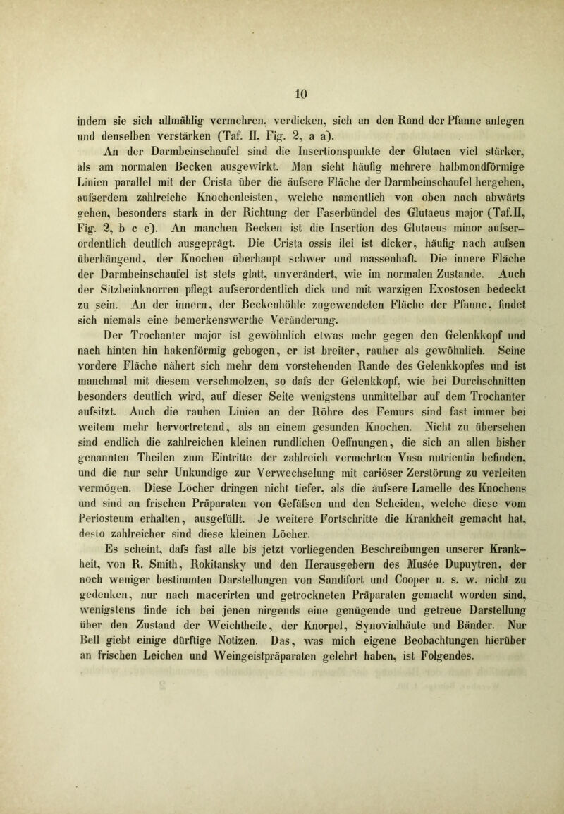 indem sie sich allmählig vermehren, verdicken, sich an den Rand der Pfanne anlegen und denselben verstärken (Taf. II, Fig. 2, a a). An der Darmbeinschaufel sind die Insertionspunkte der Glutaen viel stärker, als am normalen Becken ausgewirkt. Man sieht häufig mehrere halbmondförmige Linien parallel mit der Crista über die äufsere Fläche der Darmbeinschaufel hergehen, aufserdem zahlreiche Knochenleisten, welche namentlich von oben nach abwärts gehen, besonders stark in der Richtung der Faserbündel des Glutaeus major (Taf.II, Fig. 2, b c e). An manchen Becken ist die Insertion des Glutaeus minor aufser- ordentlich deutlich ausgeprägt. Die Crista ossis ilei ist dicker, häufig nach aufsen überhängend, der Knochen überhaupt schwer und massenhaft. Die innere Fläche der Darmbeinschaufel ist stets glatt, unverändert, wie im normalen Zustande. Auch der Sitzbeinknorren pflegt aufserordentlich dick und mit warzigen Exostosen bedeckt zu sein. An der innern, der Beckenhöhle zugewendeten Fläche der Pfanne, findet sich niemals eine bemerkenswerthe Veränderung. Der Trochanter major ist gewöhnlich etwas mehr gegen den Gelenkkopf und nach hinten hin hakenförmig gebogen, er ist breiter, rauher als gewöhnlich. Seine vordere Fläche nähert sich mehr dem vorstehenden Rande des Gelenkkopfes und ist manchmal mit diesem verschmolzen, so dafs der Gelenkkopf, wie hei Durchschnitten besonders deutlich wird, auf dieser Seite wenigstens unmittelbar auf dem Trochanter aufsitzt. Auch die rauhen Linien an der Röhre des Femurs sind fast immer bei weitem mehr hervortretend, als an einem gesunden Knochen. Nicht zu übersehen sind endlich die zahlreichen kleinen rundlichen Oeffnungen, die sich an allen bisher genannten Theilen zum Eintritte der zahlreich vermehrten Vasa nutrientia befinden, und die nur sehr Unkundige zur Verwechselung mit cariöser Zerstörung zu verleiten vermögen. Diese Löcher dringen nicht tiefer, als die äufsere Lamelle des Knochens und sind an frischen Präparaten von Gefäfsen und den Scheiden, welche diese vom Periosteum erhalten, ausgefüllt. Je weitere Fortschritte die Krankheit gemacht hat, desto zahlreicher sind diese kleinen Löcher. Es scheint, dafs fast alle bis jetzt vorhegenden Beschreibungen unserer Krank- heit, von R. Smith, Rokitansky und den Herausgebern des Musee Dupuytren, der noch weniger bestimmten Darstellungen von Sandifort und Cooper u. s. w. nicht zu gedenken, nur nach macerirten und getrockneten Präparaten gemacht worden sind, wenigstens finde ich bei jenen nirgends eine genügende und getreue Darstellung über den Zustand der Weichtheile, der Knorpel, Synovialhäute und Bänder. Nur Bell giebt einige dürftige Notizen. Das, was mich eigene Beobachtungen hierüber an frischen Leichen und Weingeistpräparaten gelehrt haben, ist Folgendes.