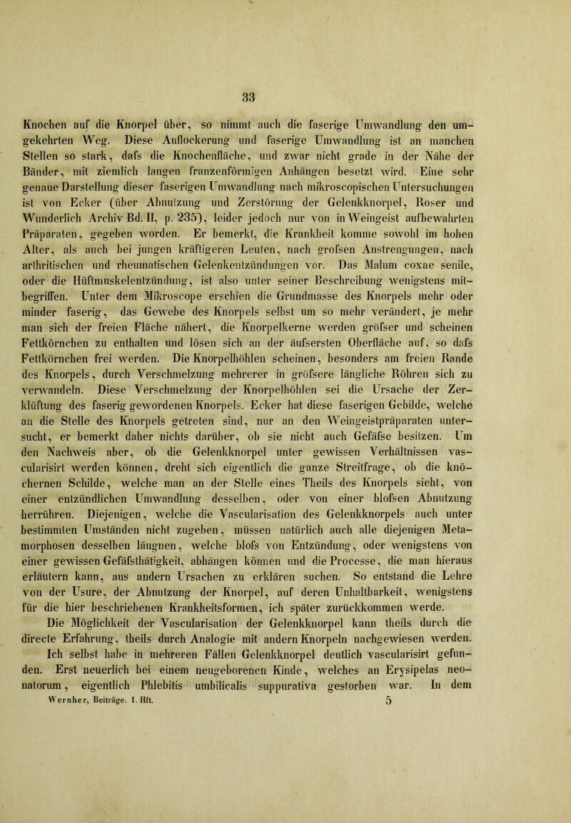 Knochen auf die Knorpel über, so nimmt auch die faserige Umwandlung den um- gekehrten Weg. Diese Auflockerung und faserige Umwandlung ist an manchen Stellen so stark, dafs die Knochenfläche, und zwar nicht grade in der Nähe der Bänder, mit ziemlich langen franzenfönnigen Anhängen besetzt wird. Eine sehr genaue Darstellung dieser faserigen Umwandlung nach mikroscopischen Untersuchungen ist von Ecker (über Abnutzung und Zerstörung der Gelenkknorpel, Roser und Wunderlich Archiv Bd. II, p. 235), leider jedoch nur von in Weingeist aufbewahrten Präparaten, gegeben worden. Er bemerkt, die Krankheit komme sowohl im hohen Alter, als auch bei jungen kräftigeren Leuten, nach grofsen Anstrengungen, nach arthritischen und rheumatischen Gelenkentzündungen vor. Das Malum coxae senile, oder die Htiftmuskelentzündung, ist also unter seiner Beschreibung wenigstens mil- begriffen. Unter dem Mi'kroscope erschien die Grundmasse des Knorpels mehr oder minder faserig, das Gewebe des Knorpels selbst um so mehr verändert, je mehr man sich der freien Fläche nähert, die Knorpelkerne werden gröfser und scheinen Fettkörnchen zu enthalten und lösen sich an der äufsersten Oberfläche auf, so dafs Fettkörnchen frei werden. Die Knorpelhöhlen scheinen, besonders am freien Rande des Knorpels, durch Verschmelzung mehrerer in gröfsere längliche Röhren sich zu verwandeln. Diese Verschmelzung der Knorpelböhlen sei die Ursache der Zer- klüftung des faserig gewordenen Knorpels. Ecker hat diese faserigen Gebilde, welche an die Stelle des Knorpels getreten sind, nur an den Weingeistpräparaten unter- sucht, er bemerkt daher nichts darüber, ob sie nicht auch Gefäfse besitzen. Um den Nachweis aber, ob die Gelenkknorpel unter gewissen Verhältnissen vas- cularisirt werden können, dreht sich eigentlich die ganze Streitfrage, ob die knö- chernen Schilde, welche man an der Stelle eines Theils des Knorpels sieht, von einer entzündlichen Umwandlung desselben, oder von einer blofsen Abnutzung herrühren. Diejenigen, welche die Vascularisation des Gelenkknorpels auch unter bestimmten Umständen nicht zugeben, müssen natürlich auch alle diejenigen Meta- morphosen desselben läugnen, welche blofs von Entzündung, oder wenigstens von einer gewissen Gefäfsthätigkeit, abhängen können und dieProcesse, die man hieraus erläutern kann, aus andern Ursachen zu erklären suchen. So entstand die Lehre von der Usure, der Abnutzung der Knorpel, auf deren Unhaltbarkeit, wenigstens für die hier beschriebenen Krankheitsformen, ich später zurückkommen werde. Die Möglichkeit der Vascularisation der Gelenkknorpel kann theils durch die directe Erfahrung, theils durch Analogie mit andern Knorpeln nachgewiesen werden. Ich selbst habe in mehreren Fällen Gelenkknorpel deutlich vascularisirt gefun- den. Erst neuerlich bei einem neugeborenen Kinde, welches an Erysipelas neo- natorum , eigentlich Phlebitis umbilicalis suppurativa gestorben war. In dem Wern her, Beiträge. 1. Hft. 5