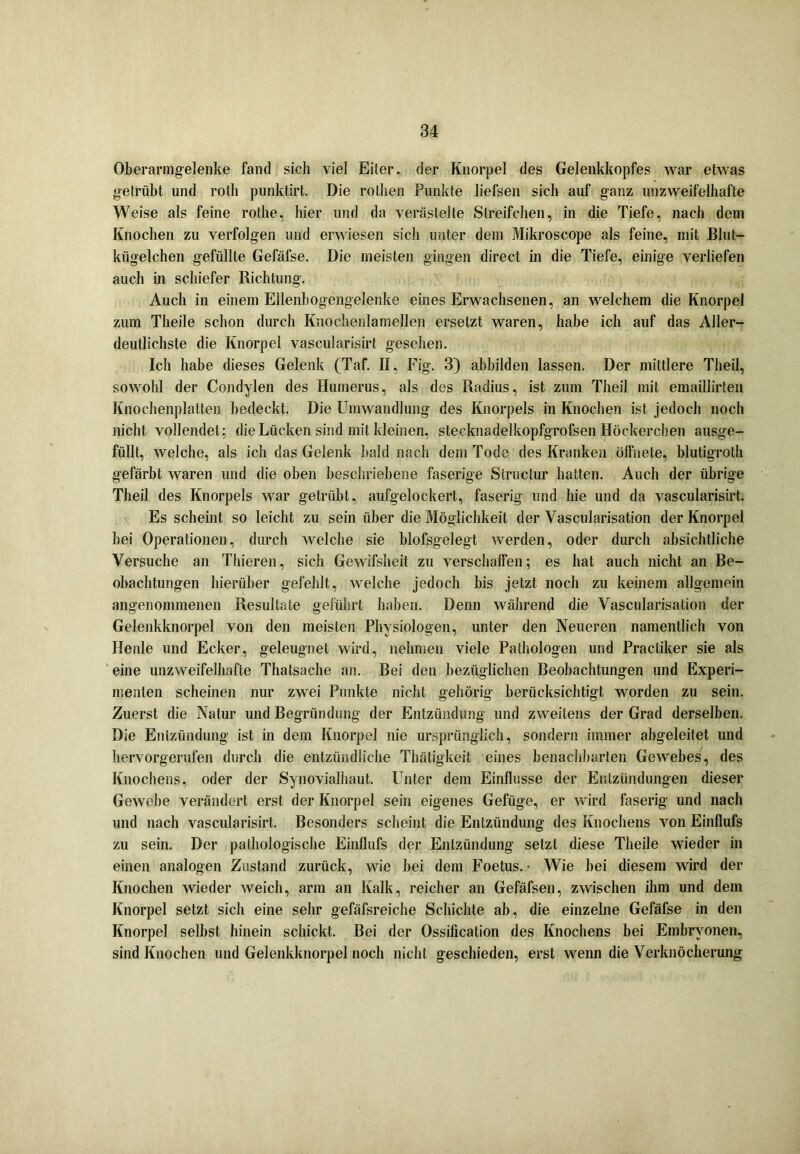 Oberarmgelenke fand sich viel Eiter, der Knorpel des Gelenkkopfes war etwas getrübt und roth punktirt. Die rothen Punkte liefsen sich auf ganz unzweifelhafte Weise als feine rothe, hier und da verästelte Streifchen, in die Tiefe, nach dem Knochen zu verfolgen und erwiesen sich unter dem Mikroscope als feine, mit Blut- kiigelchen gefüllte Gefäfse. Die meisten gingen direct in die Tiefe, einige verliefen auch in schiefer Richtung. Auch in einem Ellenbogengelenke eines Erwachsenen, an welchem die Knorpel zum Theile schon durch Knochenlamellen ersetzt waren, habe ich auf das Aller- deutlichste die Knorpel vascularisirt gesehen. Ich habe dieses Gelenk (Taf. II, Fig. 3) abbilden lassen. Der mittlere Theil, sowohl der Condylen des Humerus, als des Radius, ist zum Theil mit emaillirten Knochenplatten bedeckt. Die Umwandlung des Knorpels in Knochen ist jedoch noch nicht vollendet; die Lücken sind mit kleinen, stecknadelkopfgrofsen Höckereben ausge- füllt, welche, als ich das Gelenk bald nach dem Tode des Kranken öffnete, blutigroth gefärbt waren und die oben beschriebene faserige Structur hatten. Auch der übrige Theil des Knorpels war getrübt, aufgelockert, faserig und hie und da vascularisirt. Es scheint so leicht zu sein über die Möglichkeit der Vascularisation der Knorpel bei Operationen, durch welche sie blofsgelegt werden, oder durch absichtliche Versuche an Thieren, sich Gewifsheit zu verschaffen; es hat auch nicht an Be- obachtungen hierüber gefehlt, welche jedoch bis jetzt noch zu keinem allgemein angenommenen Resultate geführt haben. Denn während die Vascularisation der Gelenkknorpel von den meisten Physiologen, unter den Neueren namentlich von Heule und Ecker, geleugnet wird, nehmen viele Pathologen und Practiker sie als eine unzweifelhafte Thatsache an. Bei den bezüglichen Beobachtungen und Experi- menten scheinen nur zwei Punkte nicht gehörig berücksichtigt worden zu sein. Zuerst die Natur und Begründung der Entzündung und zweitens der Grad derselben. Die Entzündung ist in dem Knorpel nie ursprünglich, sondern immer abgeleitet und hervorgerufen durch die entzündliche Thätigkeit eines benachbarten Gewebes, des Knochens, oder der Synovialhaut. Unter dem Einflüsse der Entzündungen dieser Gewebe verändert erst der Knorpel sein eigenes Gefüge, er wird faserig und nach und nach vascularisirt. Besonders scheint die Entzündung des Knochens von Einfluls zu sein. Der pathologische Einflufs der Entzündung setzt diese Theile wieder in einen analogen Zustand zurück, wie bei dem Foetus. • Wie bei diesem wird der Knochen wieder weich, arm an Kalk, reicher an Gefäfsen, zwischen ihm und dem Knorpel setzt sich eine sehr gefäfsreiche Schichte ab, die einzelne Gefäfse in den Knorpel selbst hinein schickt. Bei der Ossification des Knochens bei Embryonen, sind Knochen und Gelenkknorpel noch nicht geschieden, erst wenn die Verknöcherung