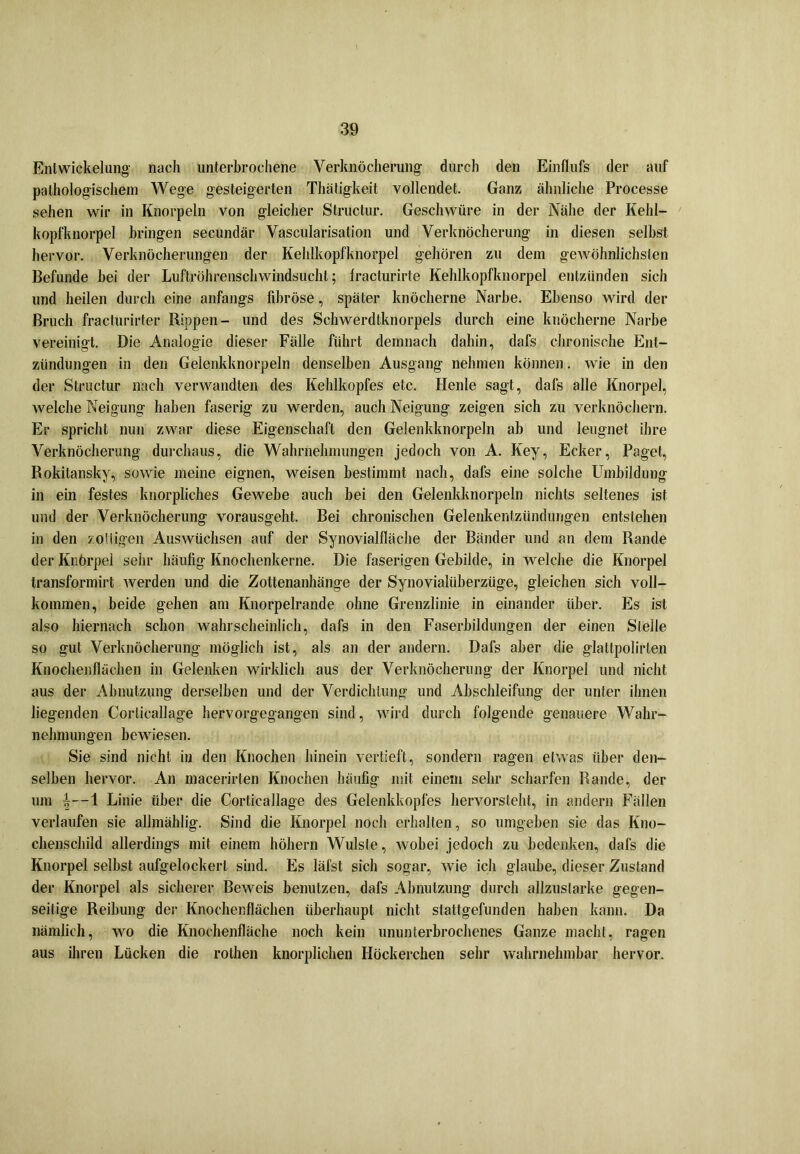 Entwickelung nach unterbrochene Verknöcherung durch den Einflufs der auf pathologischem Wege gesteigerten Thätigkeit vollendet. Ganz ähnliche Processe sehen wir in Knorpeln von gleicher Structur. Geschwüre in der Nähe der Kehl- kopfknorpel bringen secundär Vascularisation und Verknöcherung in diesen selbst hervor. Verknöcherungen der Kehlkopfknorpel gehören zu dem gewöhnlichsten Befunde bei der Luftröhrenschwindsucht; fracturirte Kehlkopfknorpel entzünden sich und heilen durch eine anfangs fibröse, später knöcherne Narbe. Ebenso wird der Bruch fracturirter Rippen- und des Schwerdtknorpels durch eine knöcherne Narbe vereinigt. Die Analogie dieser Fälle führt demnach dahin, dafs chronische Ent- zündungen in den Gelenkknorpeln denselben Ausgang nehmen können. wie in den der Structur nach verwandten des Kehlkopfes etc. Henle sagt, dafs alle Knorpel, welche Neigung haben faserig zu werden, auch Neigung zeigen sich zu verknöchern. Er spricht nun zwar diese Eigenschaft den Gelenkknorpeln ab und leugnet ihre Verknöcherung durchaus, die Wahrnehmungen jedoch von A. Key, Ecker, Paget, Rokitansky, sowie meine eignen, weisen bestimmt nach, dafs eine solche Umbildung in ein festes knorpliches Gewebe auch bei den Gelenkknorpeln nichts seltenes ist und der Verknöcherung vorausgeht. Bei chronischen Gelenkentzündungen entstehen in den zottigen Auswüchsen auf der Synovialfläche der Bänder und an dem Rande der Knörpel sehr häufig Knochenkerne. Die faserigen Gebilde, in welche die Knorpel transformirt werden und die Zottenanhänge der Synovialüberzüge, gleichen sich voll- kommen, beide gehen am Knorpelrande ohne Grenzlinie in einander über. Es ist also hiernach schon wahrscheinlich, dafs in den Faserbildungen der einen Stelle so gut Verknöcherung möglich ist, als an der andern. Dafs aber die glattpolirten Knochenflächen in Gelenken wirklich aus der Verknöcherung der Knorpel und nicht aus der Abnutzung derselben und der Verdichtung und Abschleifung der unter ihnen liegenden Corlicallage hervorgegangen sind, wird durch folgende genauere Wahr- nehmungen bewiesen. Sie sind nicht in den Knochen hinein vertieft, sondern ragen etwas über den- selben hervor. An macerirten Knochen häufig mit einem sehr scharfen Rande, der um ^—1 Linie über die Corticallage des Gelenkkopfes hervorsteht, in andern Fällen verlaufen sie allmählig. Sind die Knorpel noch erhalten, so umgeben sie das Kno- chenschild allerdings mit einem höhern Wulste, wobei jedoch zu bedenken, dafs die Knorpel selbst aufgelockerl sind. Es läfst sich sogar, wie ich glaube, dieser Zustand der Knorpel als sicherer Beweis benutzen, dafs Abnutzung durch allzustarke gegen- seitige Reibung der Knochenflächen überhaupt nicht stattgefunden haben kann. Da nämlich, wo die Knochenfläche noch kein ununterbrochenes Ganze macht, ragen aus ihren Lücken die rothen knorplichen Höckerchen sehr wahrnehmbar hervor.
