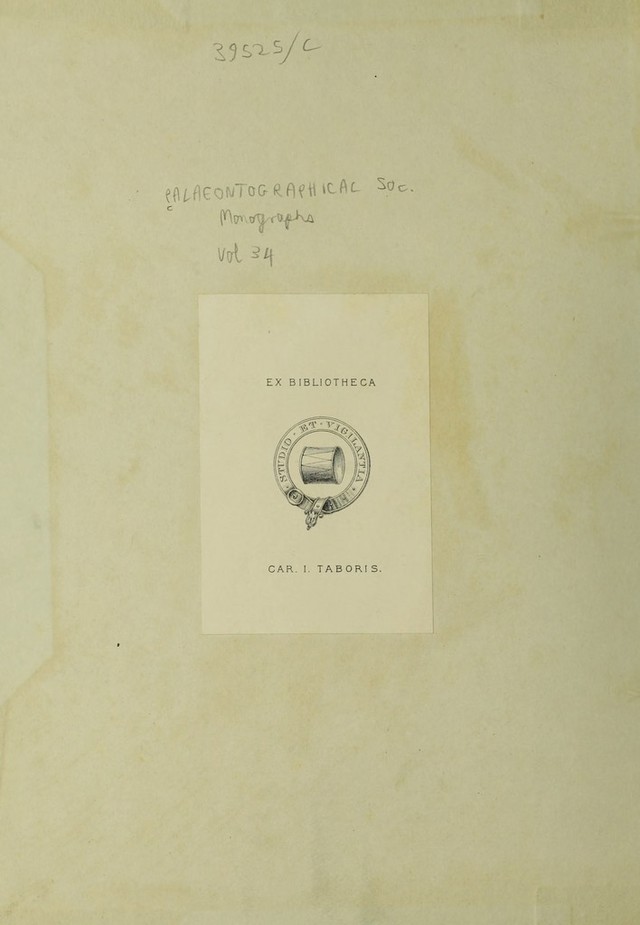 digitised image 2