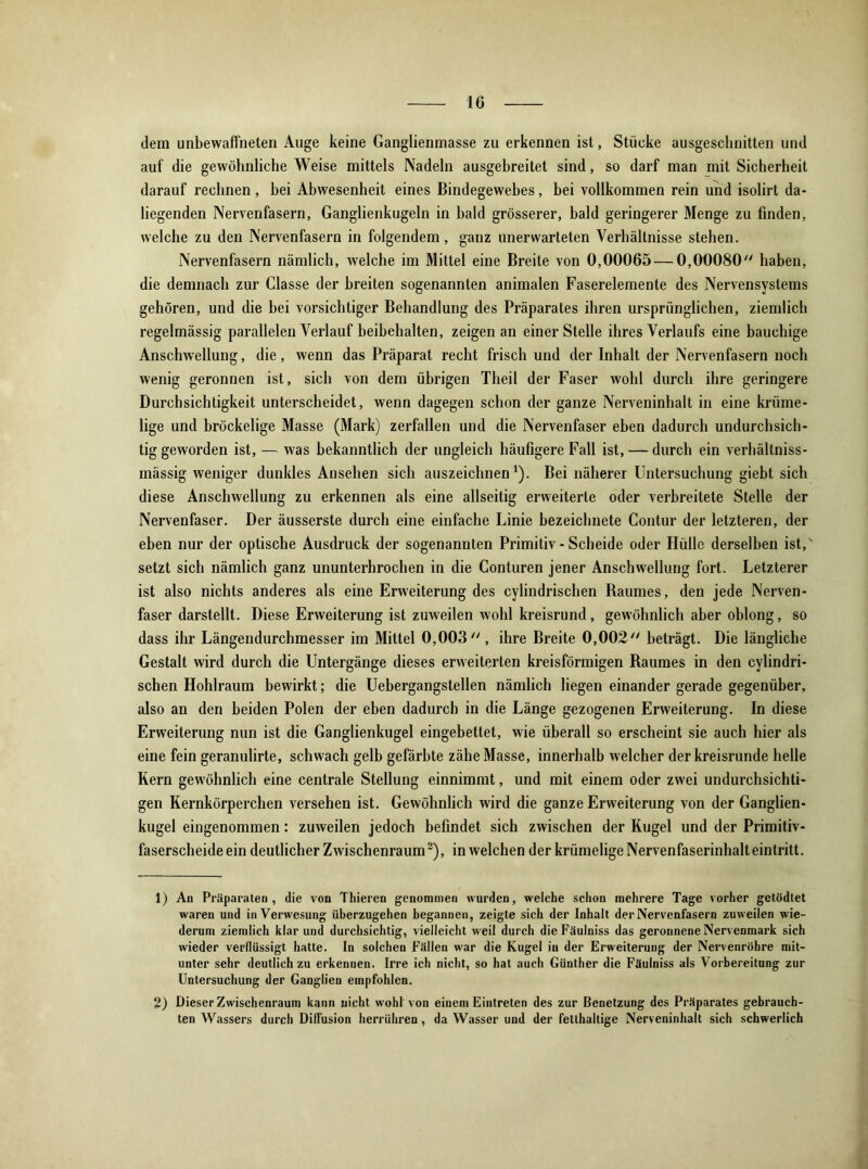 dem unbewaffneten Auge keine Ganglienmasse zu erkennen ist, Stücke ausgeschnitten und auf die gewöhnliche Weise mittels Nadeln ausgebreitet sind, so darf man mit Sicherheit darauf rechnen, bei Abwesenheit eines Bindegewebes, bei vollkommen rein und isolirt da- liegenden Nervenfasern, Ganglienkugeln in bald grösserer, bald geringerer Menge zu finden, welche zu den Nervenfasern in folgendem, ganz unerwarteten Verhältnisse stehen. Nervenfasern nämlich, welche im Mittel eine Breite von 0,00065 — 0,00080 haben, die demnach zur Classe der breiten sogenannten animalen Faserelemente des Nervensystems gehören, und die bei vorsichtiger Behandlung des Präparates ihren ursprünglichen, ziemlich regelmässig parallelen Verlauf beibehalten, zeigen an einer Stelle ihres Verlaufs eine bauchige Anschwellung, die, wenn das Präparat recht frisch und der Inhalt der Nervenfasern noch wenig geronnen ist, sich von dem übrigen Theil der Faser wohl durch ihre geringere Durchsichtigkeit unterscheidet, wenn dagegen schon der ganze Nerveninhalt in eine krüme- lige und bröckelige Masse (Mark) zerfallen und die Nervenfaser eben dadurch undurchsich- tig geworden ist, — was bekanntlich der ungleich häufigere Fall ist, — durch ein verhältniss- mässig weniger dunkles Ansehen sich auszeichnen1). Bei näherer Untersuchung giebt sich diese Anschwellung zu erkennen als eine allseitig erweiterte oder verbreitete Stelle der Nervenfaser. Der äusserste durch eine einfache Linie bezeichnete Contur der letzteren, der eben nur der optische Ausdruck der sogenannten Primitiv - Scheide oder Hülle derselben ist, setzt sich nämlich ganz ununterbrochen in die Conturen jener Anschwellung fort. Letzterer ist also nichts anderes als eine Erweiterung des cylindrischen Raumes, den jede Nerven- faser darstellt. Diese Erweiterung ist zuweilen wohl kreisrund, gewöhnlich aber oblong, so dass ihr Längendurchmesser im Mittel 0,003, ihre Breite 0,002 beträgt. Die längliche Gestalt wird durch die Untergänge dieses erweiterten kreisförmigen Raumes in den cylindri- schen Hohlraum bewirkt; die Uebergangstellen nämlich liegen einander gerade gegenüber, also an den beiden Polen der eben dadurch in die Länge gezogenen Erweiterung. In diese Erweiterung nun ist die Ganglienkugel eingebettet, wie überall so erscheint sie auch hier als eine fein geranulirte, schwach gelb gefärbte zähe Masse, innerhalb welcher der kreisrunde helle Kern gewöhnlich eine centrale Stellung einnimmt, und mit einem oder zwei undurchsichti- gen Kernkörperchen versehen ist. Gewöhnlich wird die ganze Erweiterung von der Ganglien- kugel eingenommen: zuweilen jedoch befindet sich zwischen der Kugel und der Primitiv- faserscheide ein deutlicher Zwischenraum2), in welchen der krümelige Nervenfaserinhalt eintritt. 1) An Präparaten, die von Thieren genommen wurden, welche schon mehrere Tage vorher getödtet waren und in Verwesung überzugehen begannen, zeigte sich der Inhalt der Nervenfasern zuweilen wie- derum ziemlich klar und durchsichtig, vielleicht weil durch die Fäulniss das geronnene Nervenmark sich wieder verflüssigt hatte. In solchen Fällen war die Kugel in der Erweiterung der Nervenröhre mit- unter sehr deutlich zu erkennen. Irre ich nicht, so hat auch Günther die Fäulniss als Vorbereitung zur Untersuchung der Ganglien empfohlen. 2) Dieser Zwischenraum kann nicht wohl von einem Eintreten des zur Benetzung des Präparates gebrauch- ten Wassers durch Diffusion herrühren , da Wasser und der fetthaltige Nerveninhalt sich schwerlich