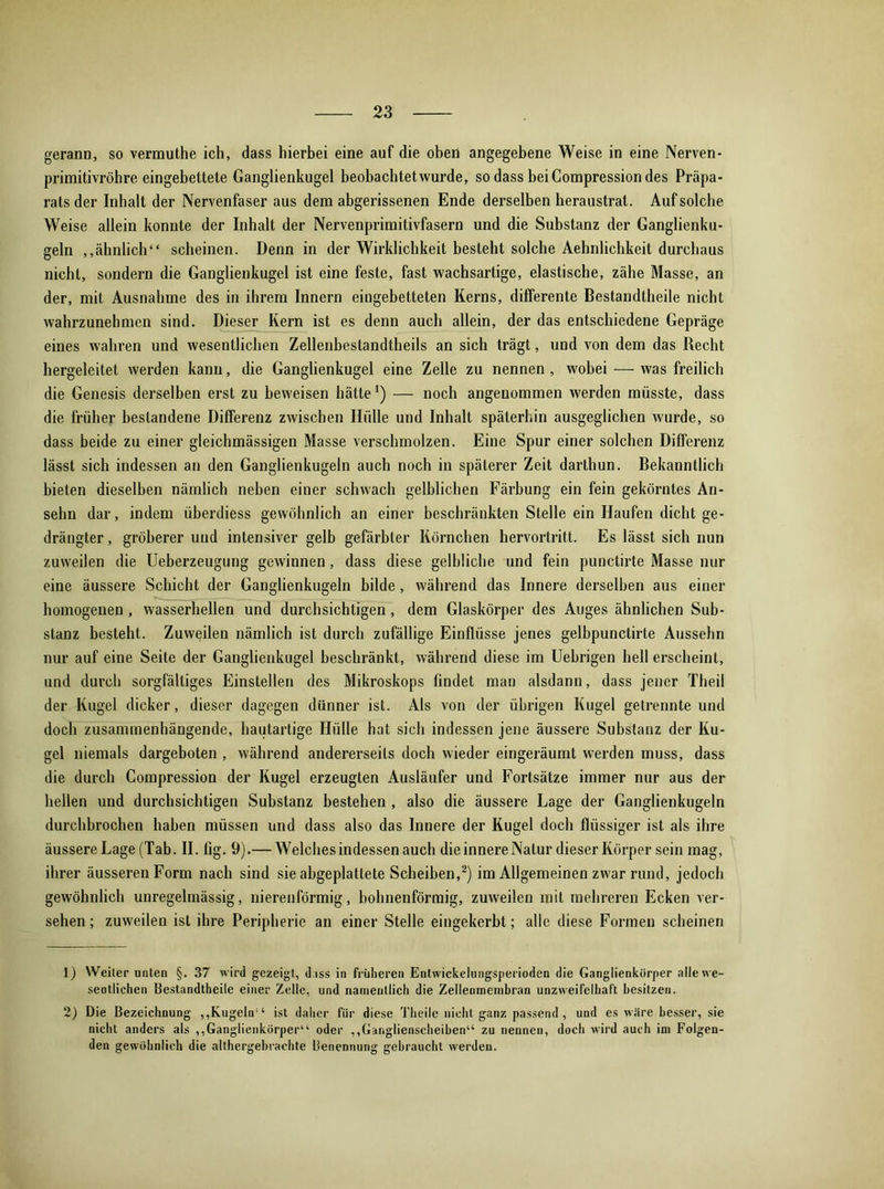 geranD, so vermuthe ich, dass hierbei eine auf die oben angegebene Weise in eine Nerven- primitivröhre eingebettete Ganglienkugel beobachtet wurde, sodassbeiCompressiondes Präpa- rats der Inhalt der Nervenfaser aus dem abgerissenen Ende derselben heraustrat. Auf solche Weise allein konnte der Inhalt der Nervenprimitivfasern und die Substanz der Ganglienku- geln „ähnlich“ scheinen. Denn in der Wirklichkeit besteht solche Aehnlichkeit durchaus nicht, sondern die Ganglienkugel ist eine feste, fast wachsartige, elastische, zähe Masse, an der, mit Ausnahme des in ihrem Innern eingebetteten Kerns, differente Bestandtheile nicht wahrzunehmen sind. Dieser Kern ist es denn auch allein, der das entschiedene Gepräge eines wahren und wesentlichen Zellenbestandtheils an sich trägt, und von dem das Recht hergeleitet werden kann, die Ganglienkugel eine Zelle zu nennen , wobei — was freilich die Genesis derselben erst zu beweisen hätte1) — noch angenommen werden müsste, dass die früher bestandene Differenz zwischen Hülle und Inhalt späterhin ausgeglichen wurde, so dass beide zu einer gleichmässigen Masse verschmolzen. Eine Spur einer solchen Differenz lässt sich indessen an den Ganglienkugeln auch noch in späterer Zeit darthun. Bekanntlich bieten dieselben nämlich neben einer schwach gelblichen Färbung ein fein gekörntes An- sehn dar, indem üherdiess gewöhnlich an einer beschränkten Stelle ein Haufen dichtge- drängter , gröberer und intensiver gelb gefärbter Körnchen hervortritt. Es lässt sich nun zuweilen die Ueberzeugung gewinnen, dass diese gelbliche und fein punctirte Masse nur eine äussere Schicht der Ganglienkugeln bilde, während das Innere derselben aus einer homogenen, wasserhellen und durchsichtigen, dem Glaskörper des Auges ähnlichen Sub- stanz besteht. Zuweilen nämlich ist durch zufällige Einflüsse jenes gelbpunctirte Aussehn nur auf eine Seite der Ganglienkugel beschränkt, während diese im Uebrigen hell erscheint, und durch sorgfältiges Einstellen des Mikroskops findet man alsdann, dass jener Theil der Kugel dicker, dieser dagegen dünner ist. Als von der übrigen Kugel getrennte und doch zusammenhängende, hautartige Hülle hat sich indessen jene äussere Substanz der Ku- gel niemals dargeboten , während andererseits doch wieder eingeräumt werden muss, dass die durch Compression der Kugel erzeugten Ausläufer und Fortsätze immer nur aus der hellen und durchsichtigen Substanz bestehen , also die äussere Lage der Ganglienkugeln durchbrochen haben müssen und dass also das Innere der Kugel doch flüssiger ist als ihre äussere Lage (Tab. II. fig. 9).— Welchesindessenauch die innere Natur dieser Körper sein mag, ihrer äusseren Form nach sind sie abgeplattete Scheiben,2) im Allgemeinen zwar rund, jedoch gewöhnlich unregelmässig, nierenförmig, bolmenförmig, zuweilen mit mehreren Ecken ver- sehen; zuweilen ist ihre Peripherie an einer Stelle eingekerbt; alle diese Formen scheinen 1) Weiter unten §. 37 wird gezeigt, d iss in früheren Entwickelungsperioden die Ganglienkörper alle we- sentlichen Bestandtheile einer Zelle, und namentlich die Zelleomembran unzweifelhaft besitzen. 2) Die Bezeichnung „Kugeln“ ist daher für diese Theile nicht ganz passend, und es wäre besser, sie nicht anders als „Ganglienkörper“ oder „Gar.glienscheiben“ zu nennen, doch wird auch im Folgen- den gewöhnlich die althergebrachte Benennung gebraucht werden.