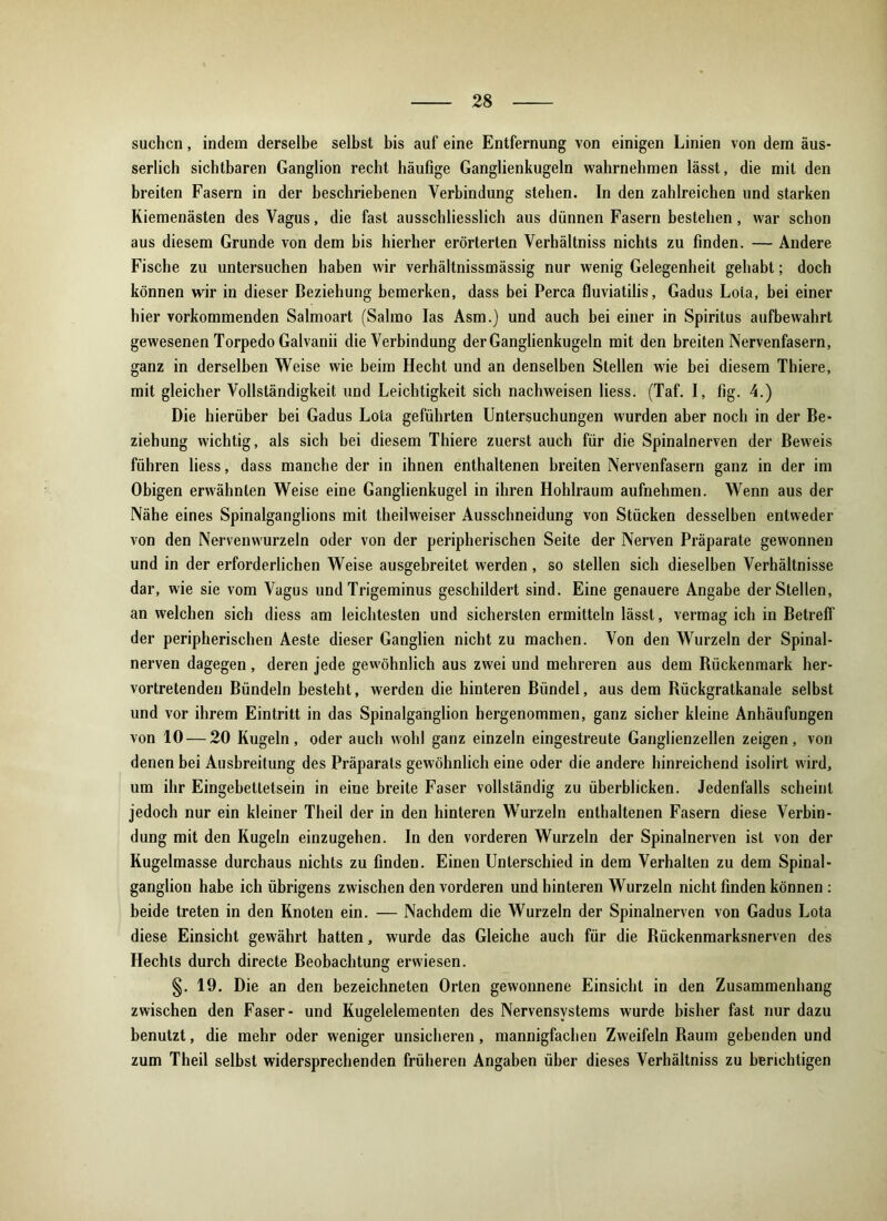 suchen, indem derselbe selbst bis auf eine Entfernung von einigen Linien von dem äus- serlich sichtbaren Ganglion recht häufige Ganglienkugeln wahrnehmen lässt, die mit den breiten Fasern in der beschriebenen Verbindung stehen. In den zahlreichen und starken Kiemenästen des Vagus, die fast ausschliesslich aus dünnen Fasern bestehen, war schon aus diesem Grunde von dem bis hierher erörterten Verhältnis nichts zu finden. — Andere Fische zu untersuchen haben wir verhältnissmässig nur wenig Gelegenheit gehabt; doch können wir in dieser Beziehung bemerken, dass bei Perca fluviatilis, Gadus Lota, bei einer hier vorkommenden Salmoart (Salmo las Asm.) und auch bei einer in Spiritus aufbewahrt gewesenen Torpedo Galvanii die Verbindung der Ganglienkugeln mit den breiten Nervenfasern, ganz in derselben Weise wie beim Hecht und an denselben Stellen wie bei diesem Thiere, mit gleicher Vollständigkeit und Leichtigkeit sich nachweisen liess. (Taf. I, fig. 4.) Die hierüber bei Gadus Lota geführten Untersuchungen wurden aber noch in der Be- ziehung wichtig, als sich bei diesem Thiere zuerst auch für die Spinalnerven der Beweis führen liess, dass manche der in ihnen enthaltenen breiten Nervenfasern ganz in der im Obigen erwähnten Weise eine Ganglienkugel in ihren Hohlraum aufnehmen. Wenn aus der Nähe eines Spinalganglions mit theilweiser Ausschneidung von Stücken desselben entweder von den Nervenwurzeln oder von der peripherischen Seite der Nerven Präparate gewonnen und in der erforderlichen Weise ausgebreitet werden, so stellen sich dieselben Verhältnisse dar, wie sie vom Vagus und Trigeminus geschildert sind. Eine genauere Angabe der Stellen, an welchen sich diess am leichtesten und sichersten ermitteln lässt, vermag ich in Betreff der peripherischen Aeste dieser Ganglien nicht zu machen. Von den Wurzeln der Spinal- nerven dagegen, deren jede gewöhnlich aus zwei und mehreren aus dem Rückenmark her- vortretenden Bündeln besteht, werden die hinteren Bündel, aus dem Rückgratkanale selbst und vor ihrem Eintritt in das Spinalganglion hergenommen, ganz sicher kleine Anhäufungen von 10 — 20 Kugeln, oder auch wohl ganz einzeln eingestreute Ganglienzellen zeigen, von denen bei Ausbreitung des Präparats gewöhnlich eine oder die andere hinreichend isolirt wird, nm ihr Eingebettetsein in eine breite Faser vollständig zu überblicken. Jedenfalls scheint jedoch nur ein kleiner Theil der in den hinteren Wurzeln enthaltenen Fasern diese Verbin- dung mit den Kugeln einzugehen. In den vorderen Wurzeln der Spinalnerven ist von der Kugelmasse durchaus nichts zu finden. Einen Unterschied in dem Verhalten zu dem Spinal- ganglion habe ich übrigens zwischen den vorderen und hinteren Wurzeln nicht finden können : beide treten in den Knoten ein. — Nachdem die Wurzeln der Spinalnerven von Gadus Lota diese Einsicht gewährt hatten, wurde das Gleiche auch für die Rückenmarksnerven des Hechts durch directe Beobachtung erwiesen. §. 19. Die an den bezeichneten Orten gewonnene Einsiebt in den Zusammenhang zwischen den Faser- und Kugelelementen des Nervensystems wurde bisher fast nur dazu benutzt, die mehr oder weniger unsicheren , mannigfachen Zweifeln Raum gebenden und zum Theil selbst widersprechenden früheren Angaben über dieses Verhältnis zu berichtigen