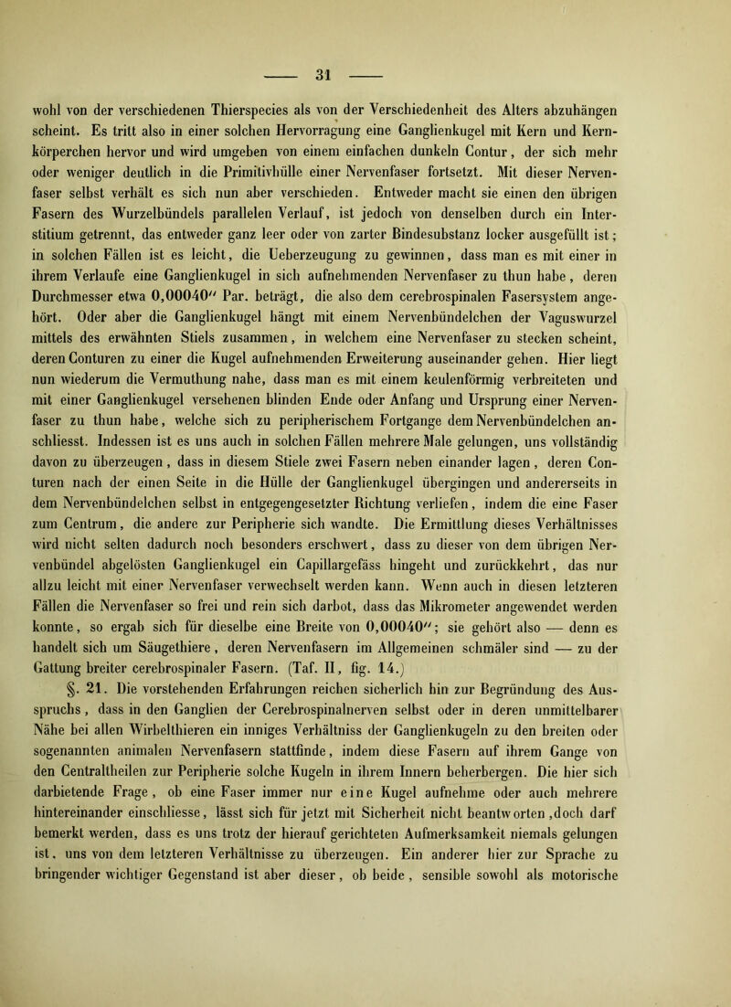 wohl von der verschiedenen Thierspecies als von der Verschiedenheit des Alters abzuhängen scheint. Es tritt also in einer solchen Hervorragung eine Ganglienkugel mit Kern und Kern- körperchen hervor und wird umgeben von einem einfachen dunkeln Contur, der sich mehr oder weniger deutlich in die Primitivhülle einer Nervenfaser fortsetzt. Mit dieser Nerven- faser selbst verhält es sich nun aber verschieden. Entweder macht sie einen den übrigen Fasern des Wurzelbündels parallelen Verlauf, ist jedoch von denselben durch ein Inter- stitium getrennt, das entweder ganz leer oder von zarter Bindesubstanz locker ausgefüllt ist; in solchen Fällen ist es leicht, die Ueberzeugung zu gewinnen, dass man es mit einer in ihrem Verlaufe eine Ganglienkugel in sich aufnehmenden Nervenfaser zu thun habe, deren Durchmesser etwa 0,00040'' Par. beträgt, die also dem cerebrospinalen Fasersystem ange- hört. Oder aber die Ganglienkugel hängt mit einem Nervenbündelchen der Vaguswurzel mittels des erwähnten Stiels zusammen, in welchem eine Nervenfaser zu stecken scheint, deren Conturen zu einer die Kugel aufnehmenden Erweiterung auseinander gehen. Hier liegt nun wiederum die Vermuthung nahe, dass man es mit einem keulenförmig verbreiteten und mit einer Ganglienkugel versehenen blinden Ende oder Anfang und Ursprung einer Nerven- faser zu thun habe, welche sich zu peripherischem Fortgange dem Nervenbündelchen an- schliesst. Indessen ist es uns auch in solchen Fällen mehrere Male gelungen, uns vollständig davon zu überzeugen, dass in diesem Stiele zwei Fasern neben einander lagen, deren Con- turen nach der einen Seite in die Hülle der Ganglienkugel übergingen und andererseits in dem Nervenbündelchen selbst in entgegengesetzter Richtung verliefen, indem die eine Faser zum Centrum, die andere zur Peripherie sich wandte. Die Ermittlung dieses Verhältnisses wird nicht selten dadurch noch besonders erschwert, dass zu dieser von dem übrigen Ner- venbündel abgelösten Ganglienkugel ein Capillargefäss hingeht und zurückkehrt, das nur allzu leicht mit einer Nervenfaser verwechselt werden kann. Wenn auch in diesen letzteren Fällen die Nervenfaser so frei und rein sich darbot, dass das Mikrometer angewendet werden konnte, so ergab sich für dieselbe eine Breite von 0,00040; sie gehört also — denn es handelt sich um Säugethiere, deren Nervenfasern im Allgemeinen schmäler sind — zu der Gattung breiter cerebrospinaler Fasern. (Taf. II, fig. 14.) §. 21. Die vorstehenden Erfahrungen reichen sicherlich hin zur Begründung des Aus- spruchs , dass in den Ganglien der Cerebrospinalnerven selbst oder in deren unmittelbarer Nähe bei allen Wirbelthieren ein inniges Verhältniss der Ganglienkugeln zu den breiten oder sogenannten animalen Nervenfasern stattfinde, indem diese Fasern auf ihrem Gange von den Centraltheilen zur Peripherie solche Kugeln in ihrem Innern beherbergen. Die hier sich darbietende Frage, ob eine Faser immer nur eine Kugel aufnehme oder auch mehrere hintereinander einschliesse, lässt sich für jetzt mit Sicherheit nicht beantworten ,doch darf bemerkt werden, dass es uns trotz der hierauf gerichteten Aufmerksamkeit niemals gelungen ist, uns von dem letzteren Verhältnisse zu überzeugen. Ein anderer hier zur Sprache zu bringender wichtiger Gegenstand ist aber dieser, ob beide , sensible sowohl als motorische