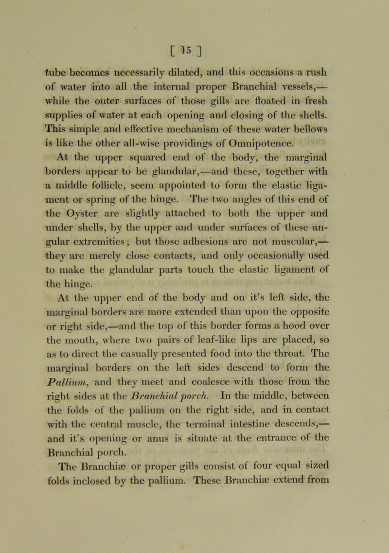 tube becomes necessarily dilated, and this occasions a rush of water into all the internal proper Branchial vessels,— while the outer surfaces of those gills are floated in fresh supplies of water at each opening and closing of the shells. This simple and effective mechanism of these water bellows is like the other all-wise providings of Omnipotence. At the upper squared end of the body, the marginal borders appear to be glandular,—and these, together with a middle follicle, seem appointed to form the elastic liga- ment or spring of the hinge. The two angles of this end of the Oyster are slightly attached to both the upper and under shells, by the upper and under surfaces of these an- gular extremities; but those adhesions are not muscular,— they are merely close contacts, and only occasionally used to make the glandular parts touch the elastic ligament of the hinge. At the upper end of the body and on it’s left side, the marginal borders are more extended than upon the opposite or right side,—and the top of this border forms a hood over the mouth, where two pairs of leaf-like lips are placed, so as to direct the casually presented food into the throat. The marginal borders on the left sides descend to fonn the Pallium, and they meet and coalesce with those from the right sides at the Pranchial porch. In the middle, between the folds of the pallium on the right side, and in contact with the central muscle, the terminal intestine descends,— and it’s opening or anus is situate at the entrance of the Branchial porch. The Branchiae or proper gills consist of four equal sized folds inclosed by the pallium. These Branchiae extend from