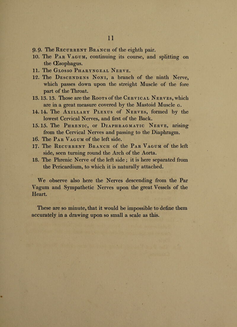 9*9* The Recurrent Branch of the eighth pair. 10. The Par Vagum, continuing its course, and splitting on the (Esophagus. 11. The Glosso Pharyngeal Nerve. 12. The Descendens Noni, a branch of the ninth Nerve, which passes down upon the streight Muscle of the fore part of the Throat. 13.13.13. Those are the Roots of the Cervical Nerves, which are in a great measure covered by the Mastoid Muscle g. 14.14. The Axillary Plexus of Nerves, formed by the lowest Cervical Nerves, and first of the Back. 15.15. The Phrenic, or Diaphragmatic Nerve, arising from the Cervical Nerves and passing to the Diaphragm. 16. The Par Vagum of the left side. 17. The Recurrent Branch of the Par Vagum of the left side, seen turning round the Arch of the Aorta. 18. The Phrenic Nerve of the left side; it is here separated from the Pericardium, to which it is naturally attached. We observe also here the Nerves descending from the Par Vagum and Sympathetic Nerves upon the great Vessels of the Heart. These are so minute, that it would be impossible to define them accurately in a drawing upon so small a scale as this.