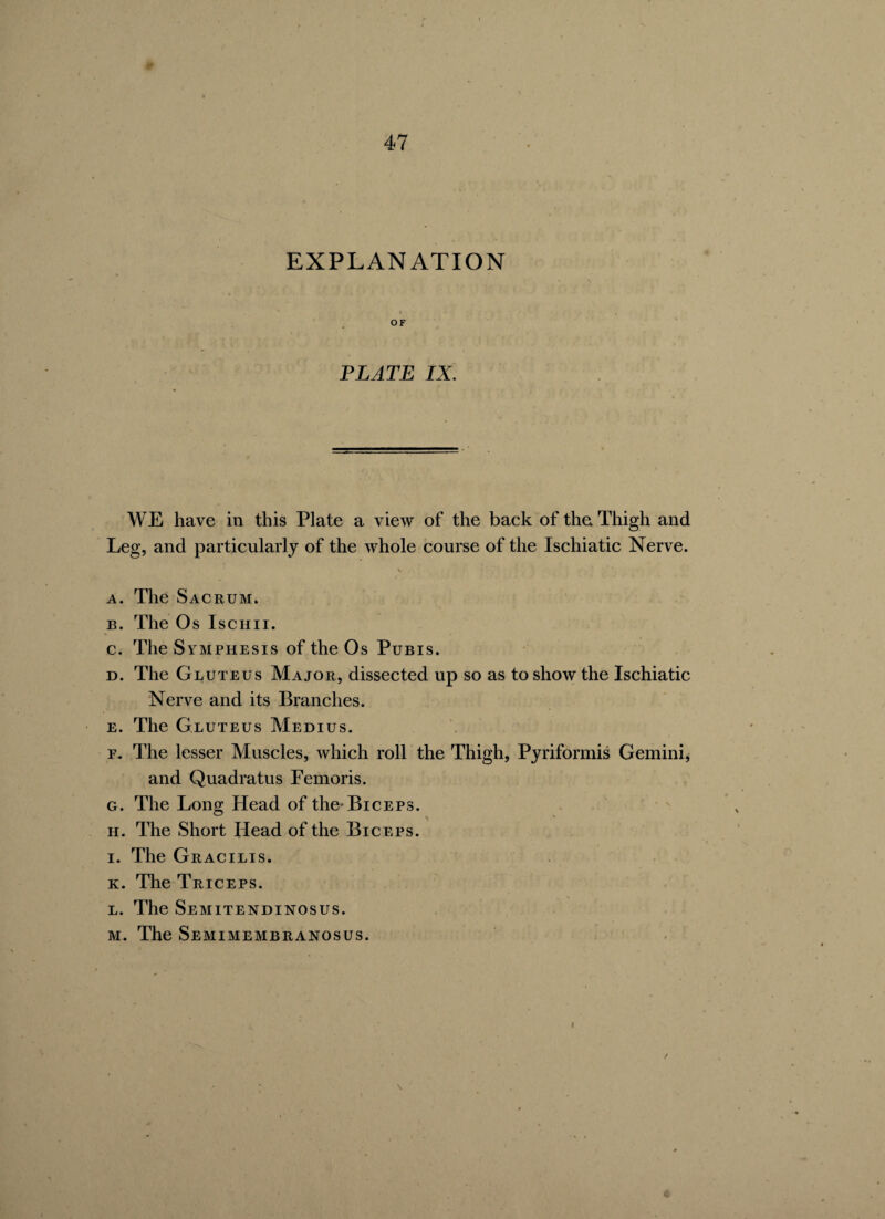 EXPLANATION » • OF PLATE IX. WE have in this Plate a view of the back of the Thigh and Leg, and particularly of the whole course of the Ischiatic Nerve. a. The Sacrum. b. The Os Ischii. c. The Svmphesis of the Os Pubis. d. The Gluteus Major, dissected up so as to show the Ischiatic Nerve and its Branches. e. The Gluteus Medius. f. The lesser Muscles, which roll the Thigh, Pyriformis Gemini, and Quadratus Eemoris. g. The Long Head of the’Biceps. h. The Short Head of the Biceps. i. The Gracilis. k. The Triceps. l. The Semitendinosus. m. The Semimembranosus. \