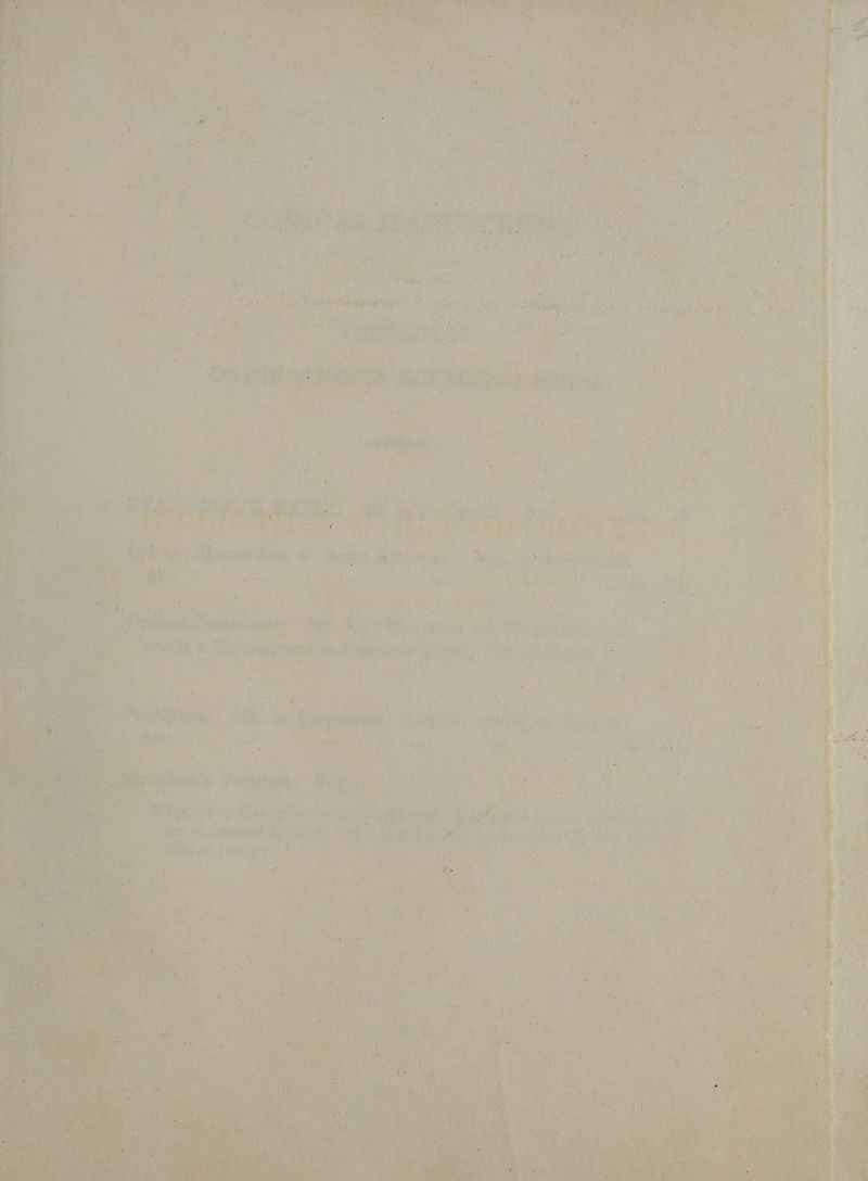 1d hi b , LLL Dis ie aiti sge C esi - N és Dy L 3) won T nt LS