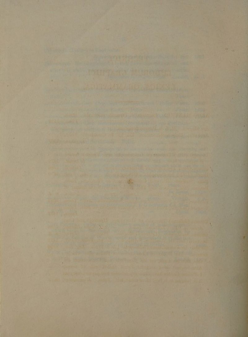Ho. y * Ko CP 0e IAE ' ! £ Ó BA A AE en C * , A  LA D »* * i - , p 2 B ab^ . F. , ; 5^3d QUNM Naro ccongtda avt custo j19 RT x Ny riritpg $9 EET rd H NMoattuy tie Tero pp RAT ma fame Sie a ton vint: vct a yen cp «^ dor Certe prie frati, ba e A T de inel hy TINO D X Mie MÉ aeu Seti Yu; read P AN PORN adidas ) hls: ] d dad. CON RIT SERIEN at xod. ceo HM m M cec LT isa s dFuésda 4 . st A  ; zu AE 3 hdd Motos T d (X OLEP T. MEET rn d 3 LA AO TA C nO X DR ^ d ja ^ P Kf he. ( e r , Rt, '  ^ ix / METER TTA ATA Hd iN MM. CNET iecioks orar E T. z a ( E * 2 : am ^ ] I M ri * E La NE a (E ; ] 2 i wr Ici PY n. Na í 2v - EN t  y.  4 1 IN T d , VY ADR cgev Lys Sad ox a po ! ; Y E PEE OS UL Ie ARE UE Ei wu iipct TE pt EC A 2: dal Le E 279 v NIME D i L E. ^ ye H- J n 24 7  ur : Ais 7 y II Lj  , x  D - zZ j *  I , P  i r à i