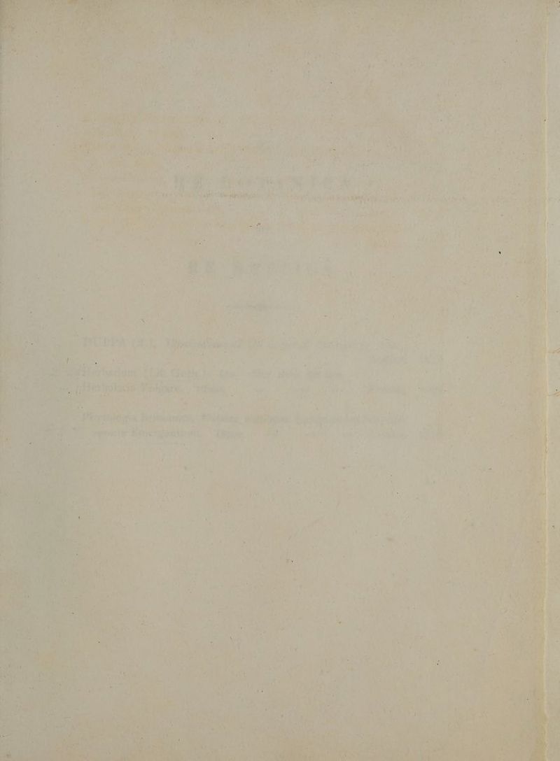 t Ue VEM qt. N M P aibas. TRUE.