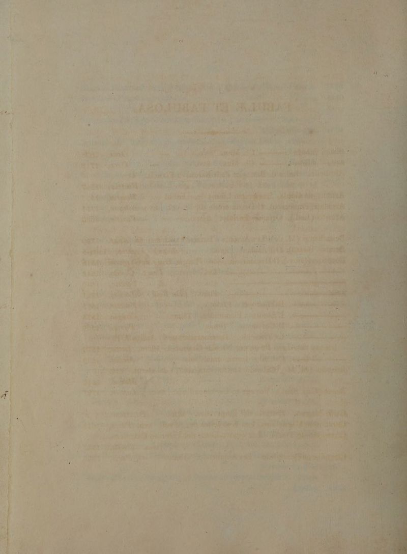 ; A  LUUD i 4 y LI H m ; b t í 2 RAN a  ^ ! AMPIA UN. L6] ATI 2 WS Ss i n t ipit (ionic ipee M ^W in: e E, He ai - hà DA arf scies ! --* 1 E L^ a 4 SN X DMURIE - TEC n 1 £ *1 E T PIRE -og aer vet  ^ qu tm nm d | * , (5 ! J/ :1 M : ' 1 4 Á ^ * «9 B si m * b y É d ^A)9x 1 - i ' ' é 41 v [| HN 1 4 T) c 1 4 24 r^ 4 E «€